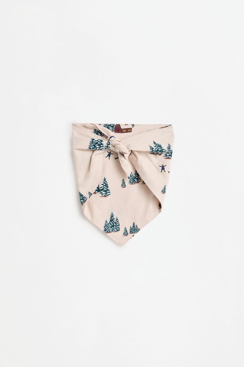 Ski pet bandana