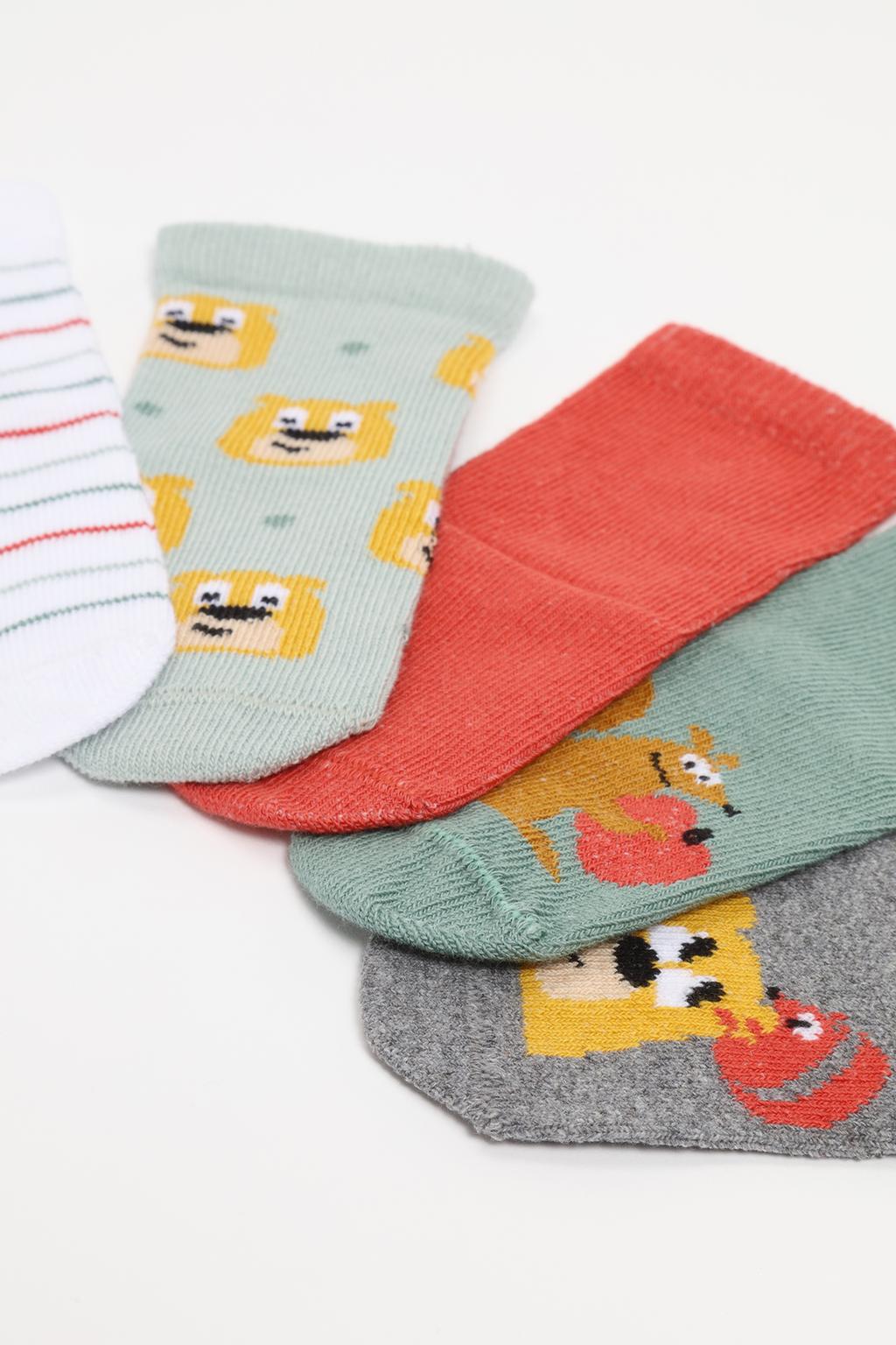 Pack of 5 pairs of long squirrel socks