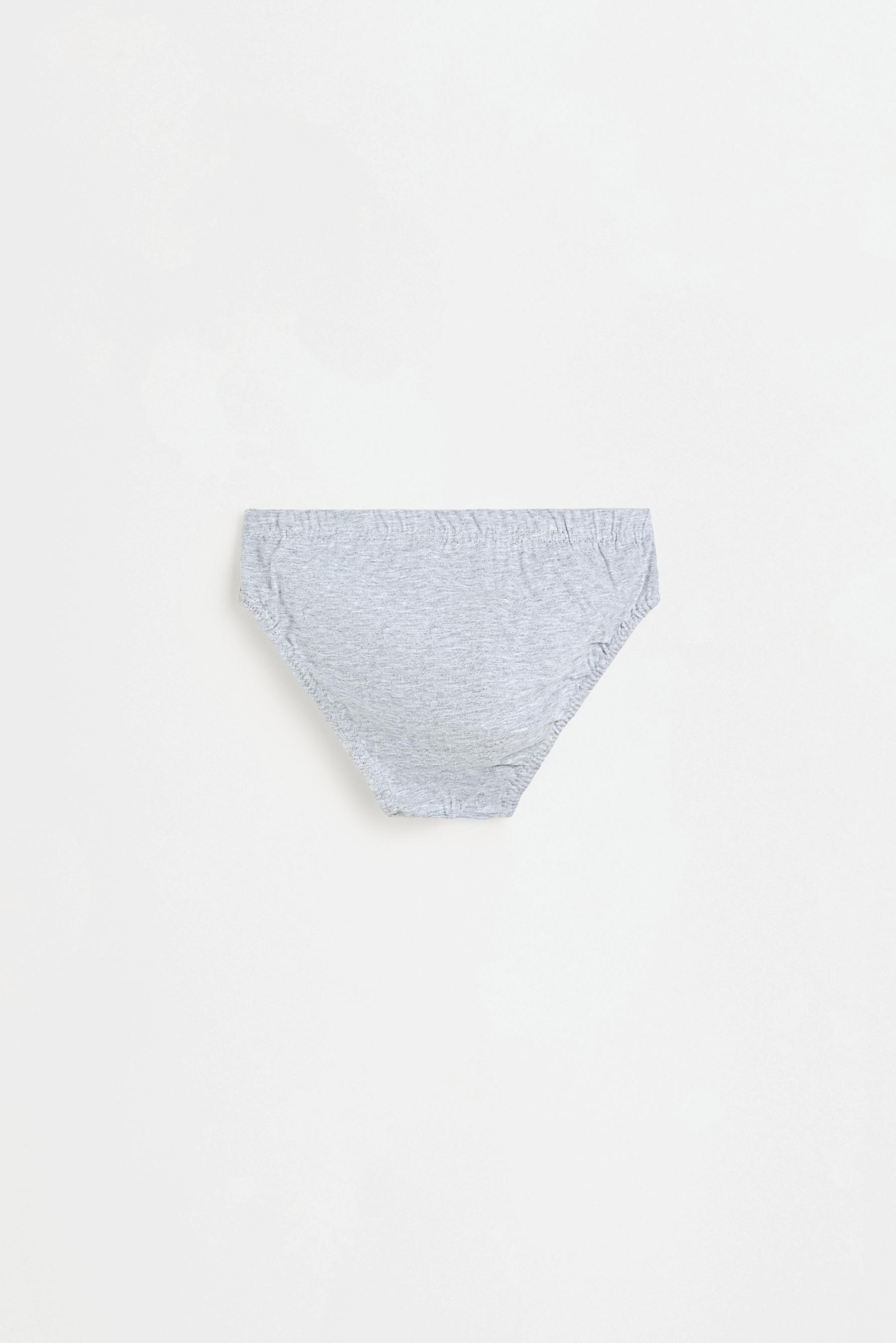 Plain briefs (5-pack) — BLUE/WHITE