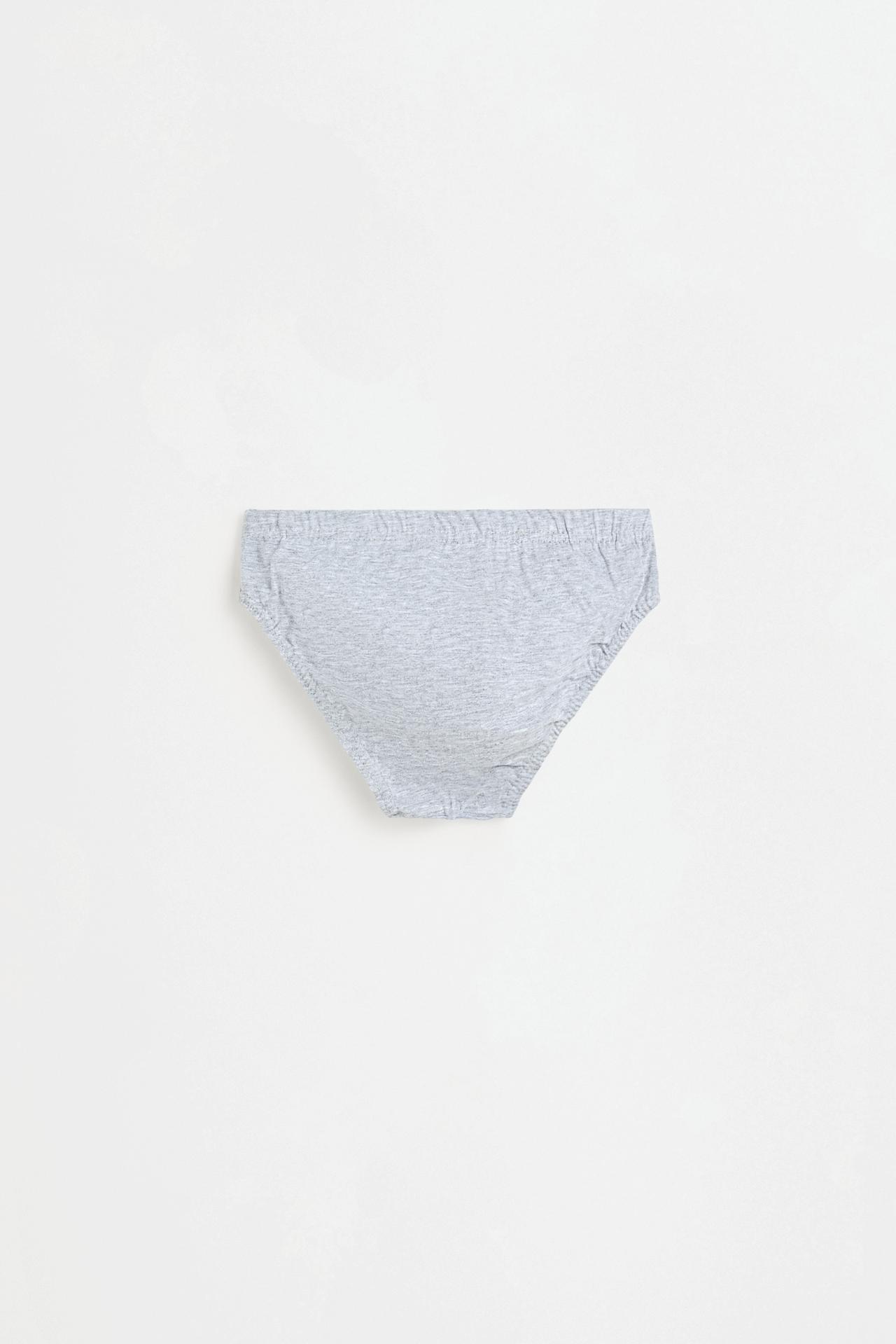Plain briefs (5-pack) — BLUE/WHITE
