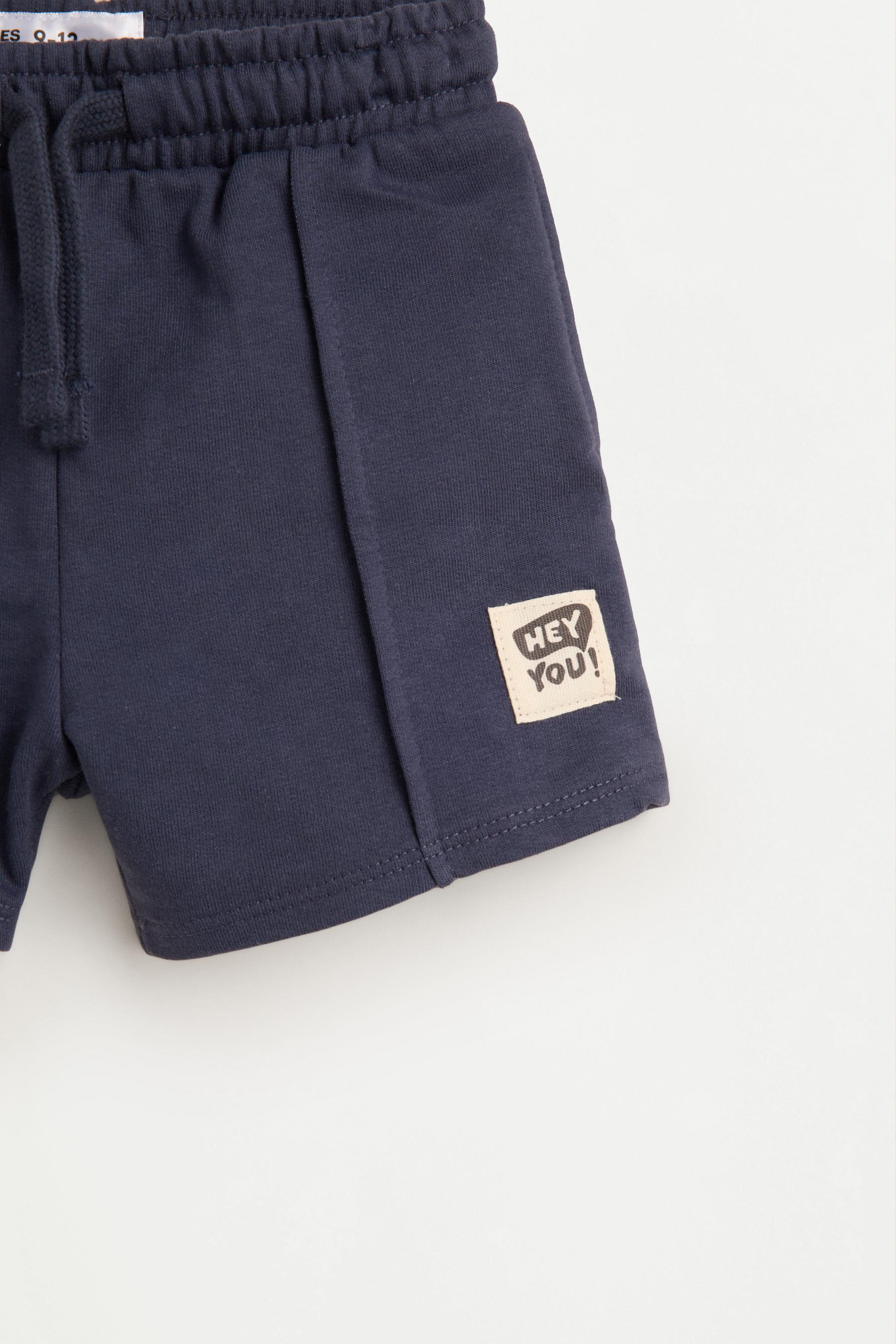 Pack of 2 plain fleece shorts — PALE GREY