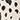 Printed mini bell bottom jeans — LEOPARD PRINT