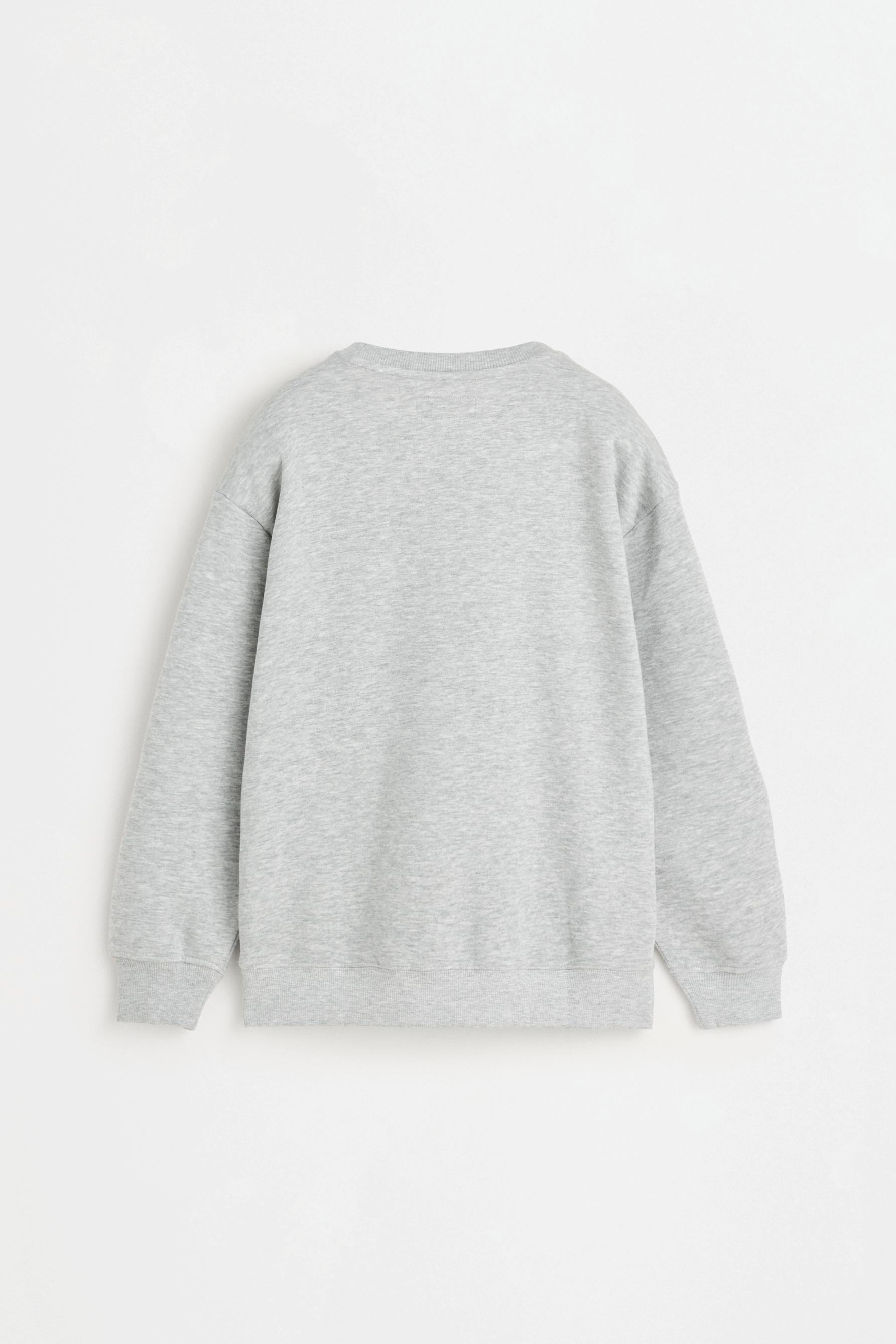 Printed sweatshirt — GREY MARL