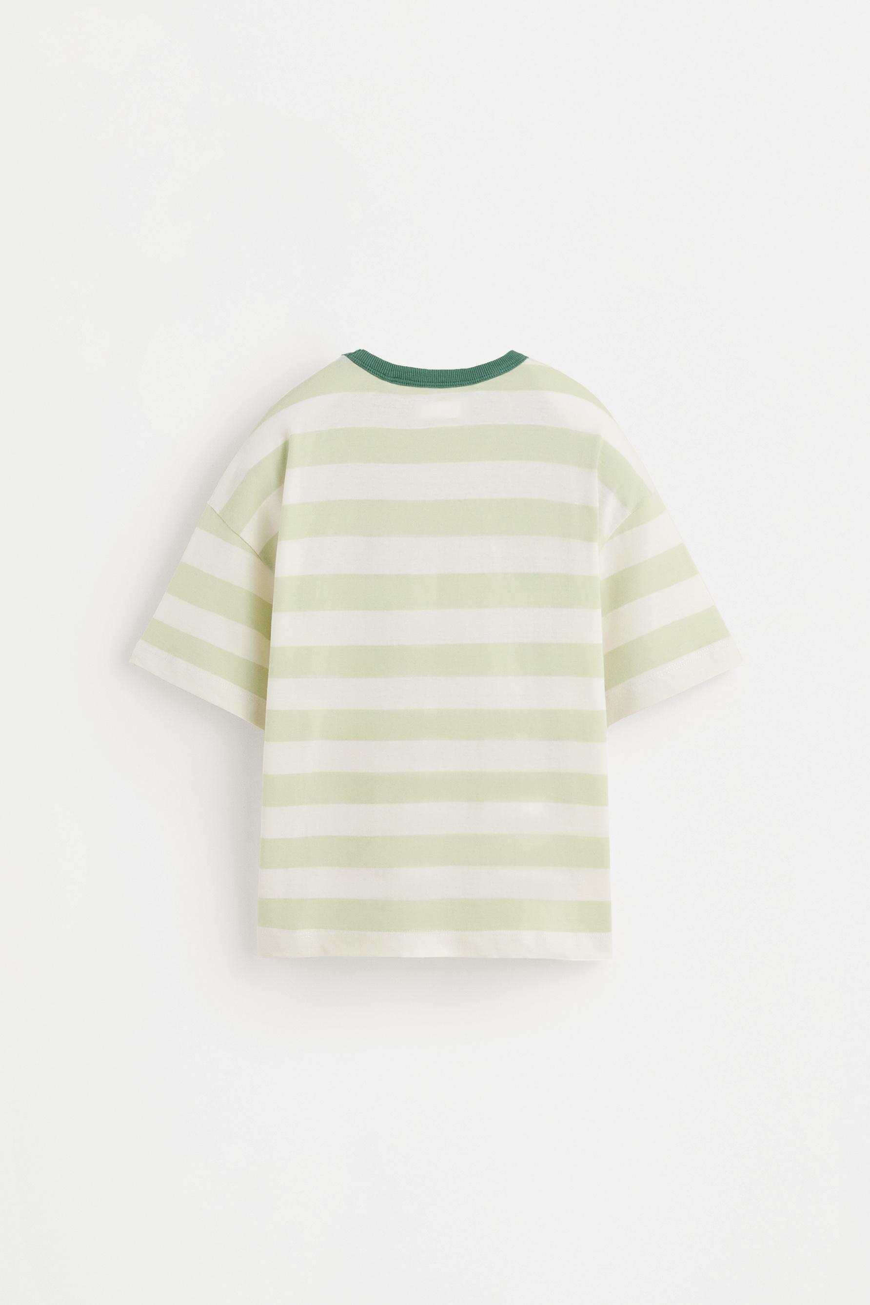 Striped T-shirt — PALE GREEN