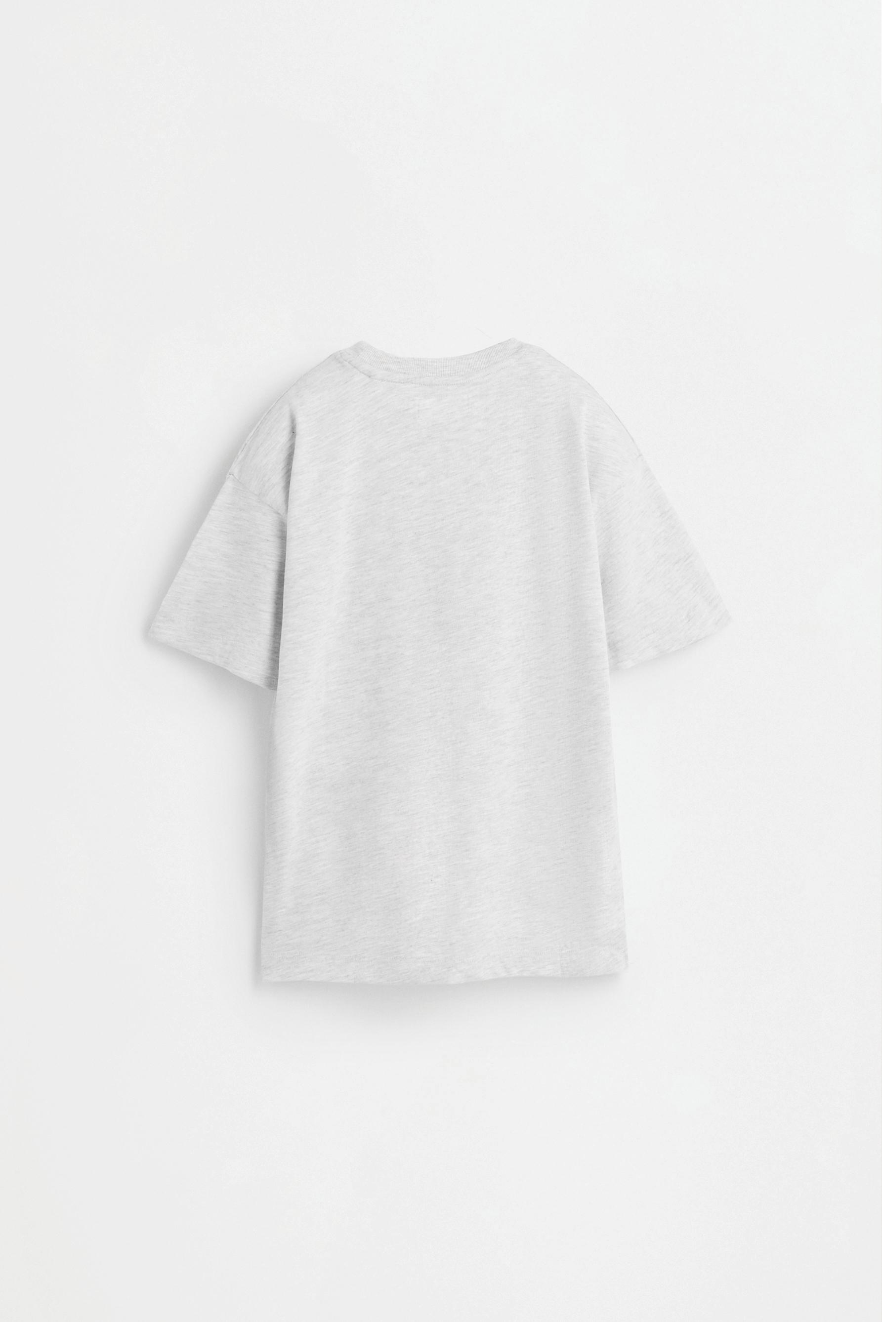 Printed T-shirt — GREY MARL