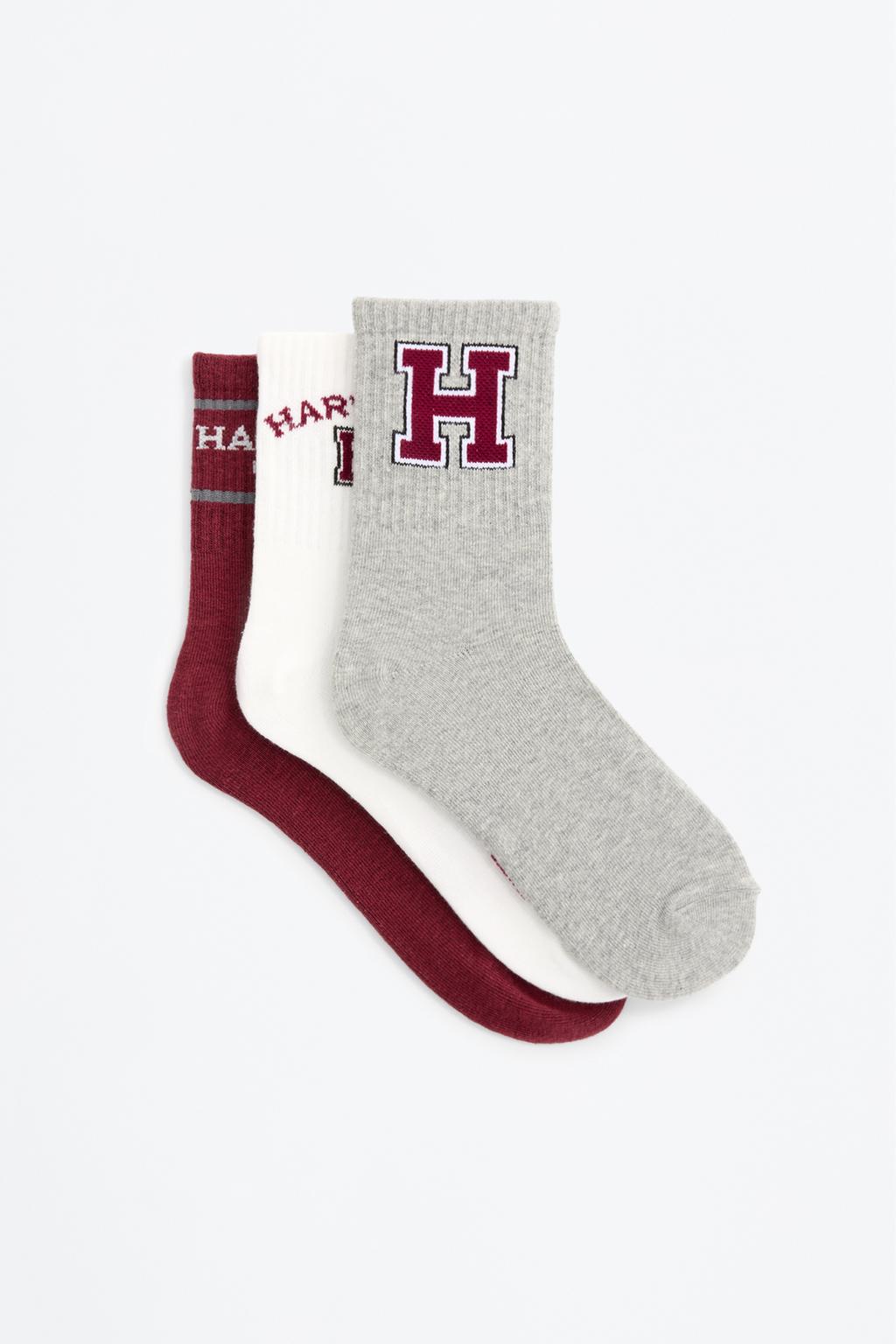 Pack 3 calcetines tobilleros cortos de Harvard University
