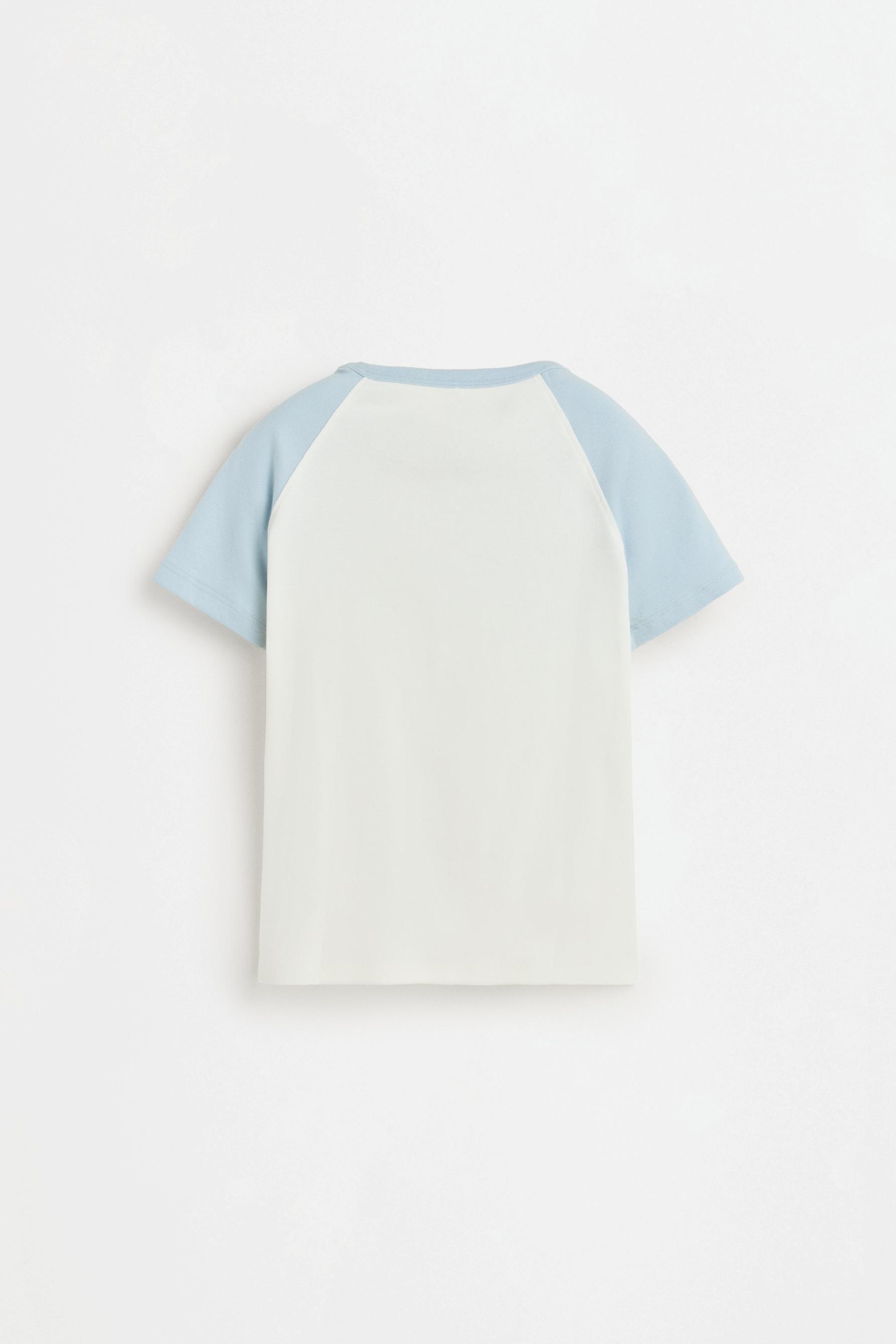 Raglan sleeve T-shirt — PALE BLUE