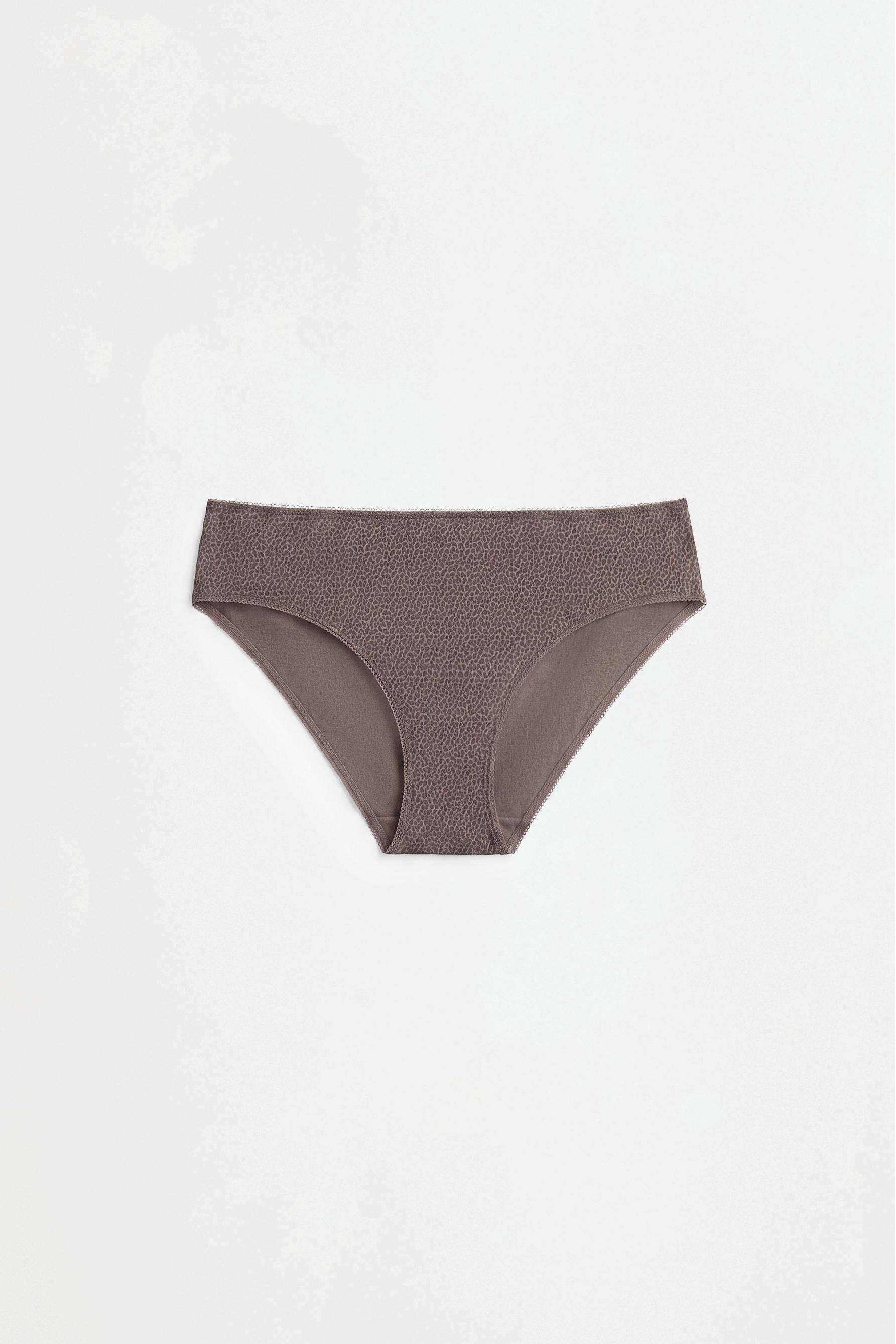 Pack of 7 classic cotton briefs — BROWN