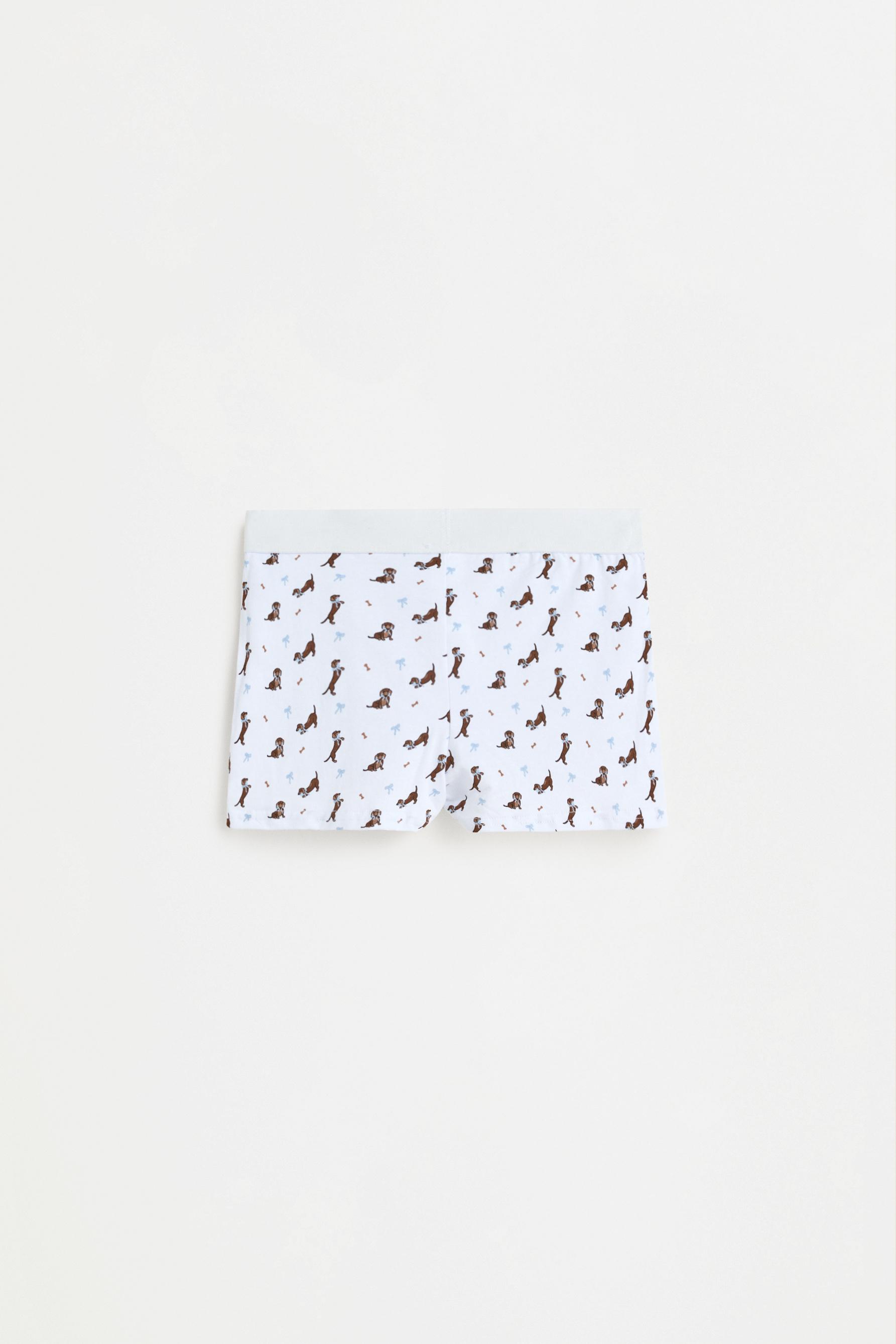 Printed boxer shorts — BLUE