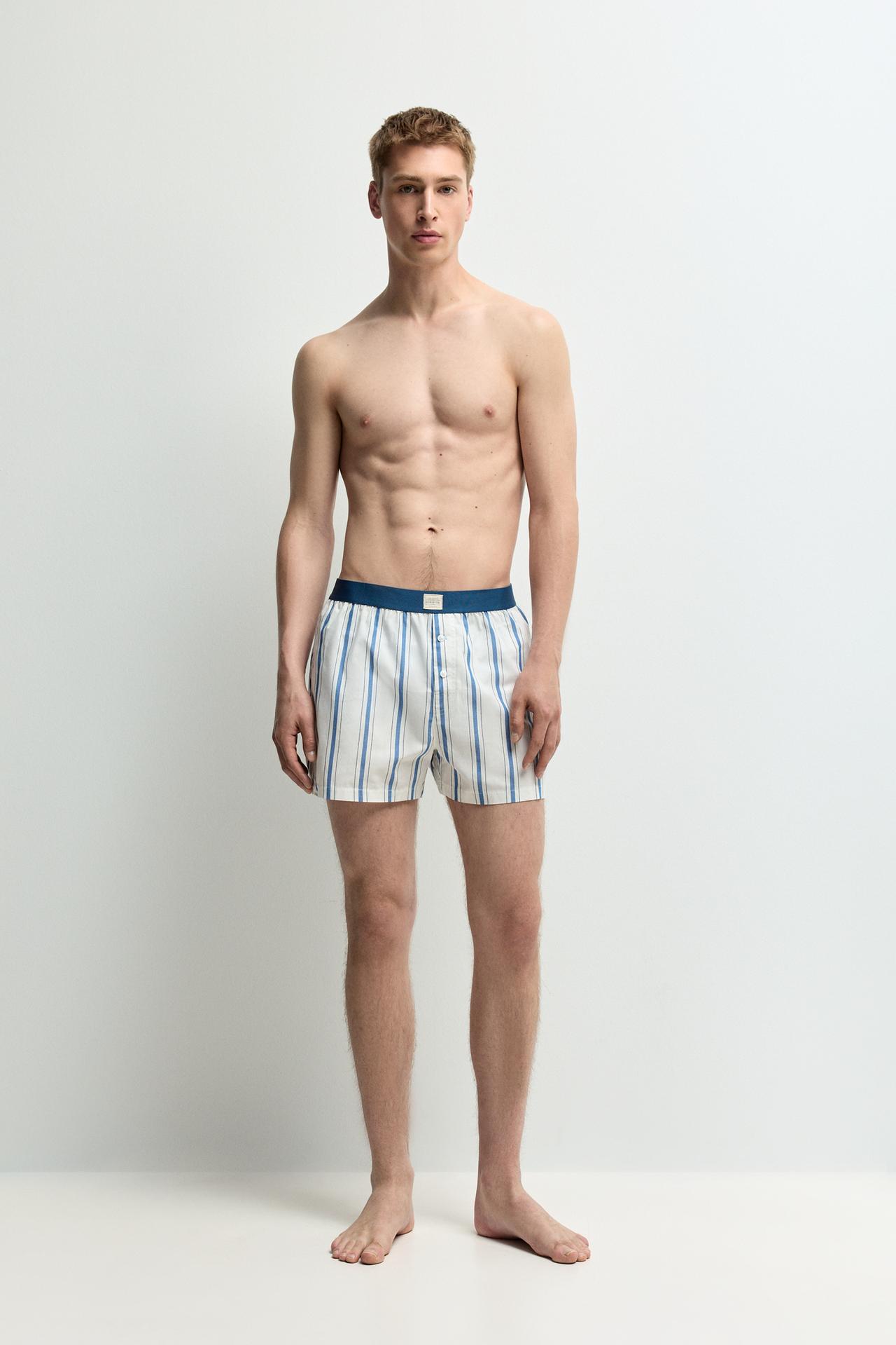 2-Pack striped boxer briefs — BROWN