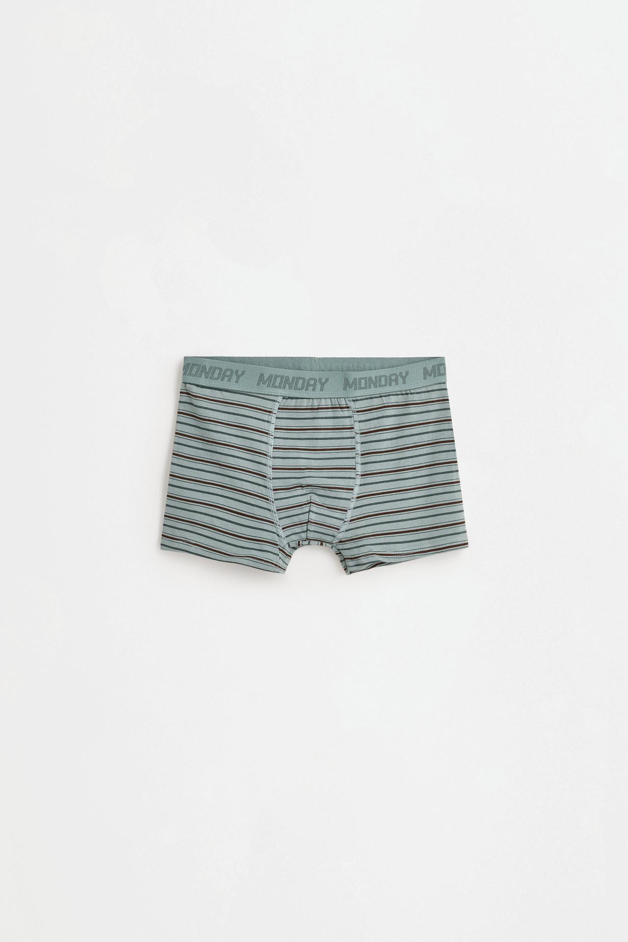 Weekly boxer brief 7-pack — BROWN/GREEN
