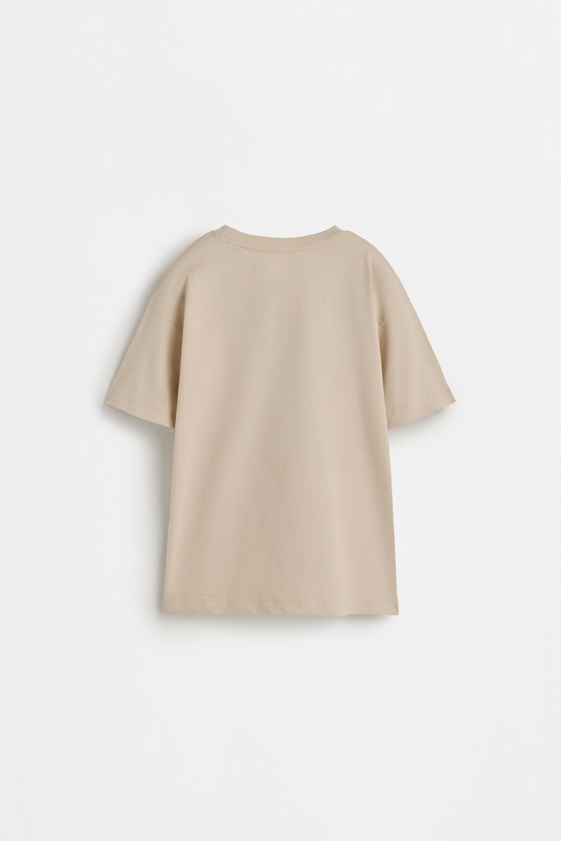 Printed T-shirt — GREY