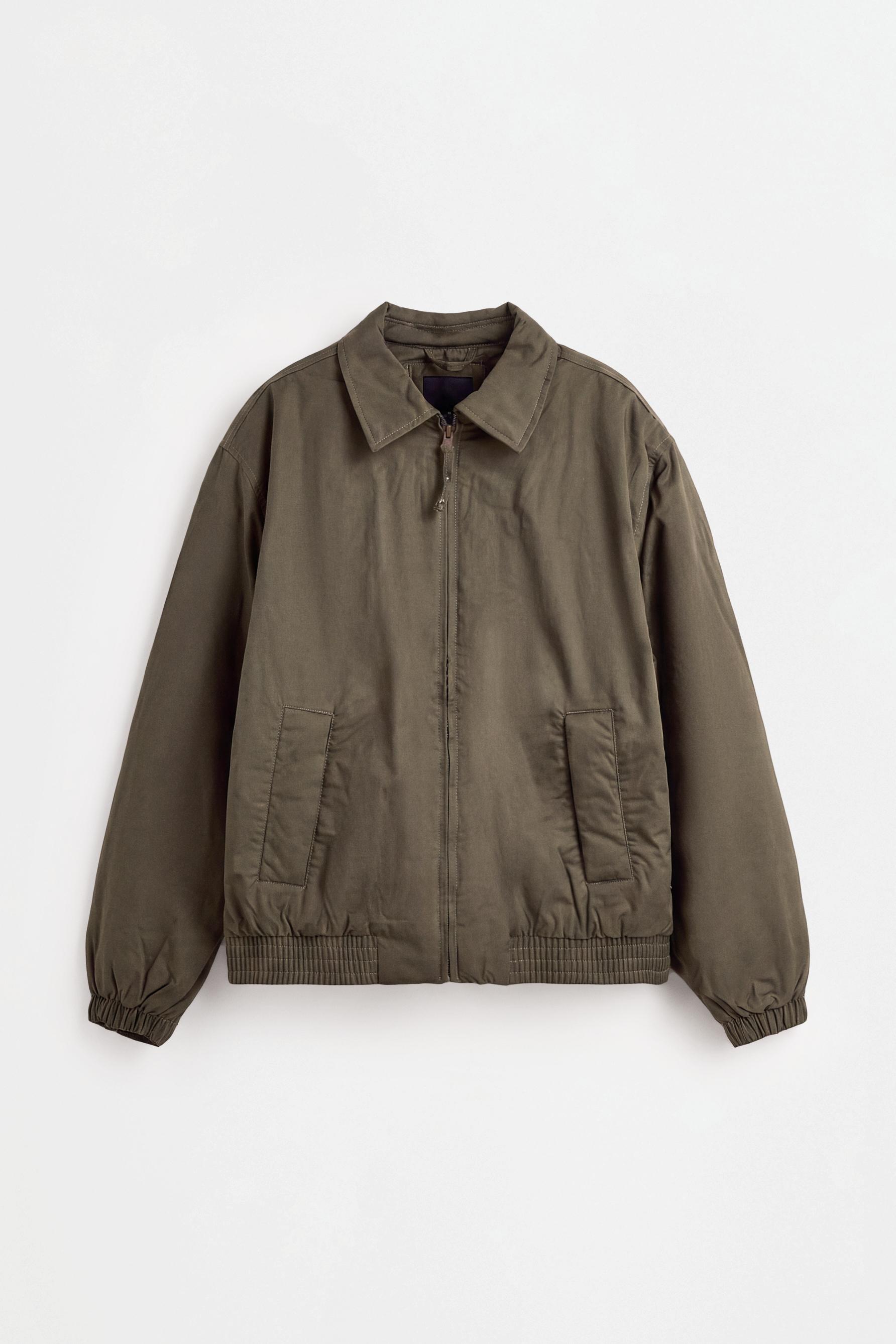 Padded shirt-style collar jacket — GREEN