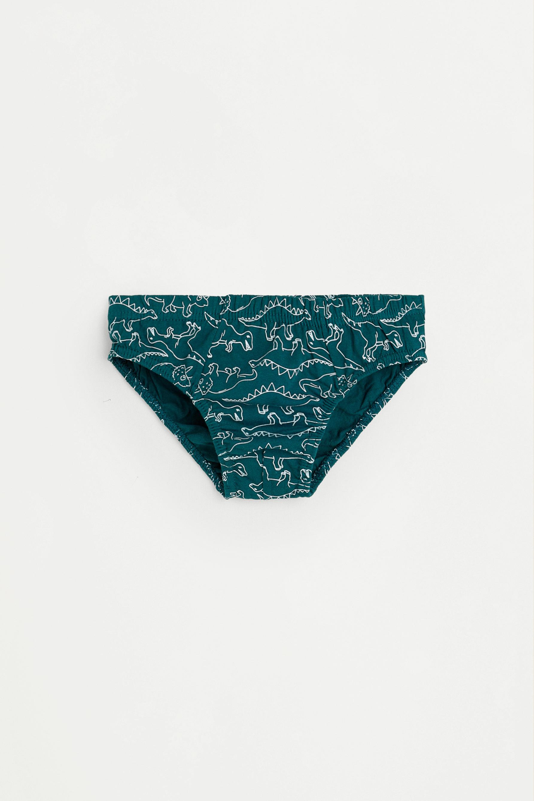 Dinosaur Print Briefs (7-Pack) — BLUE TONES