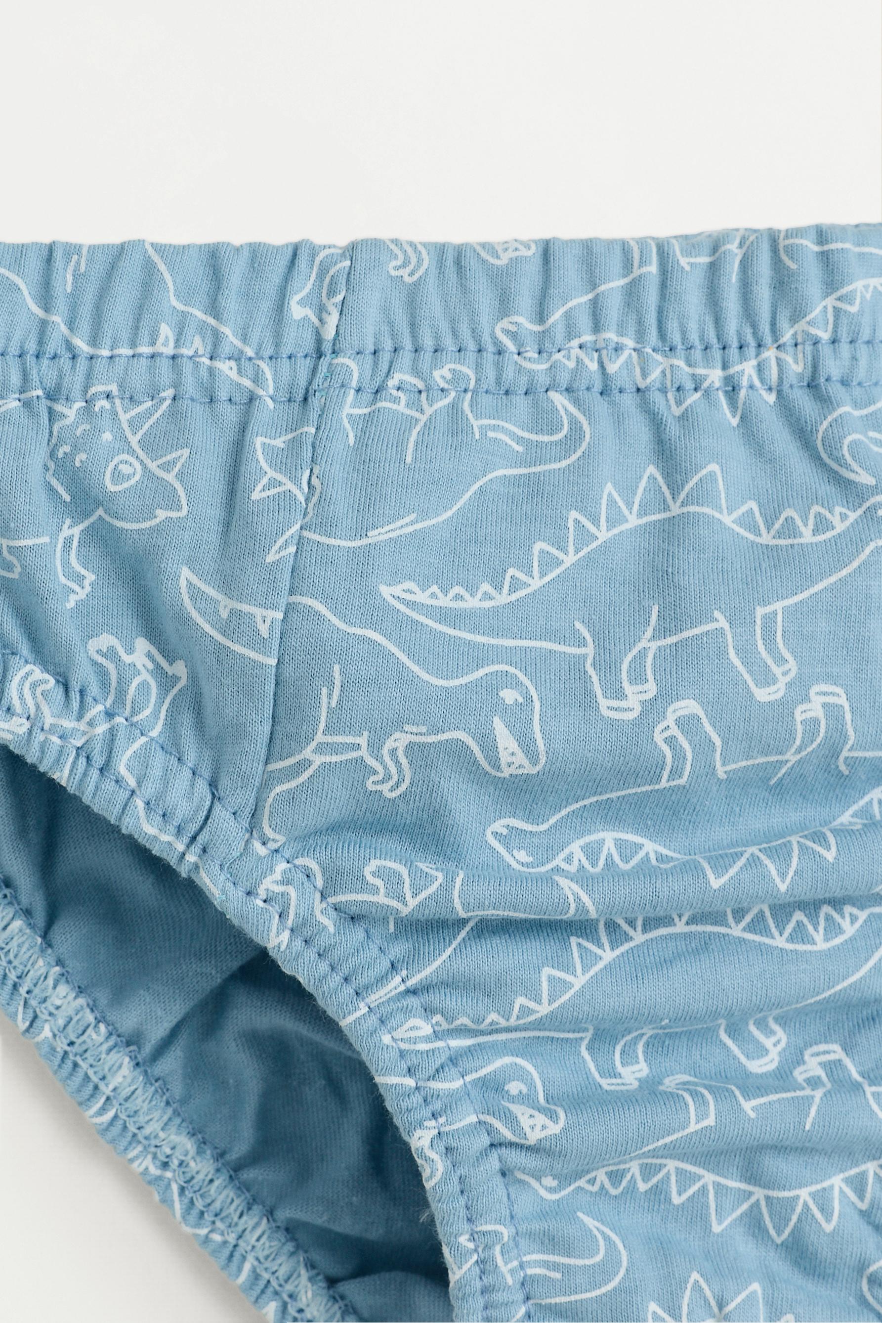 Dinosaur Print Briefs (7-Pack) — BLUE TONES