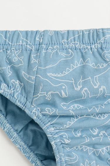 Dinosaur Print Briefs (7-Pack) — BLUE TONES 4