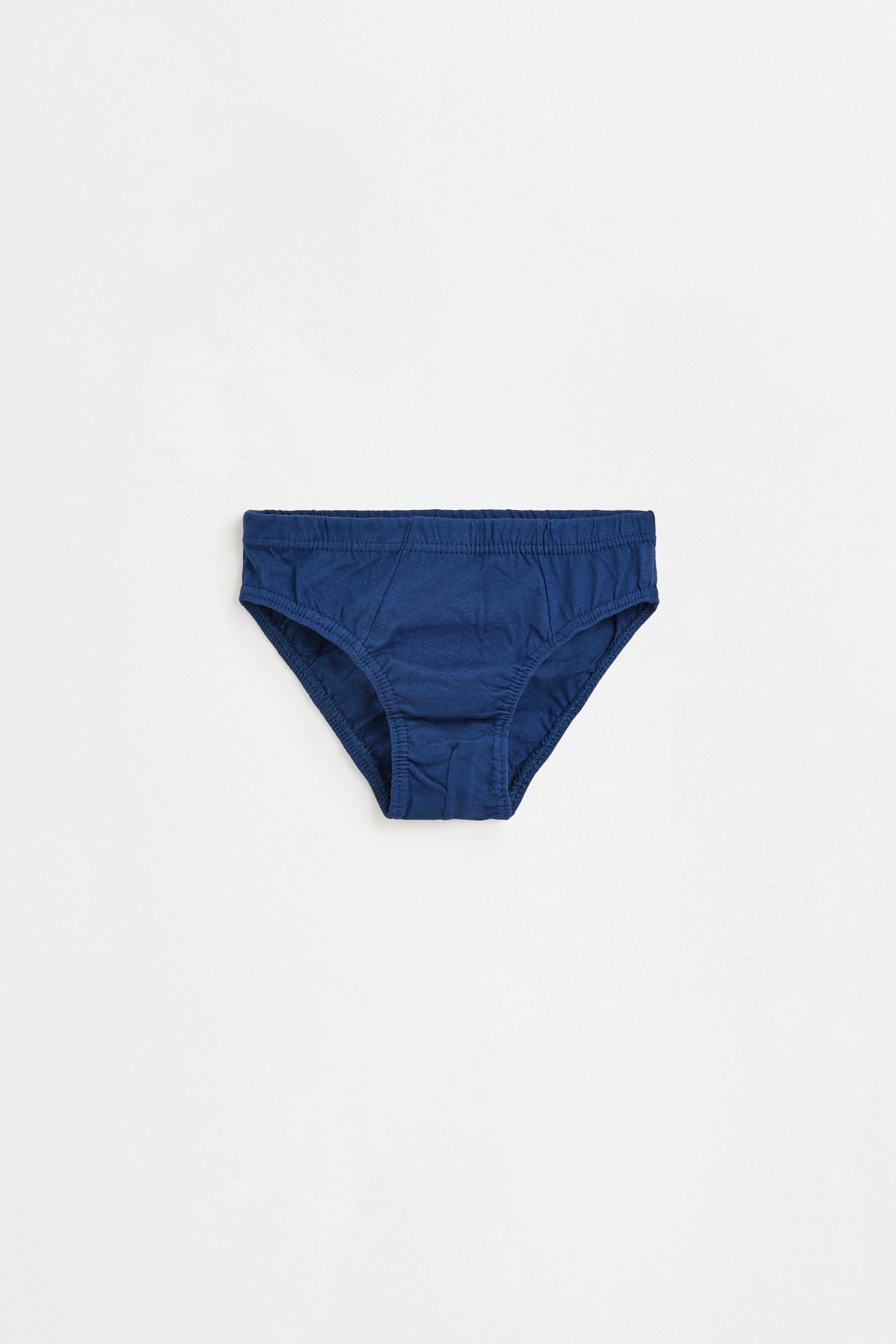 Plain briefs (5-pack) — BLUE/WHITE