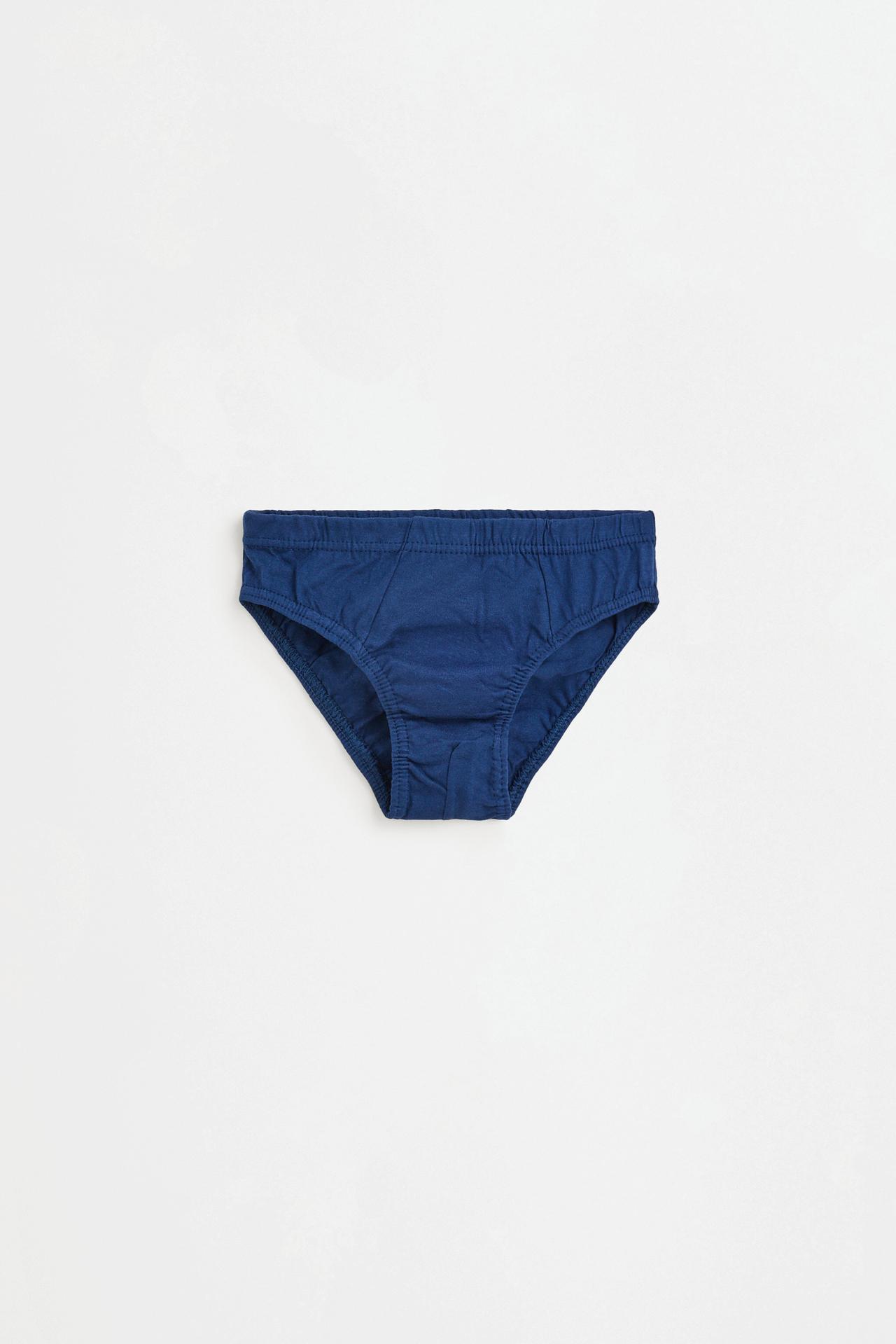 Plain briefs (5-pack) — BLUE/WHITE