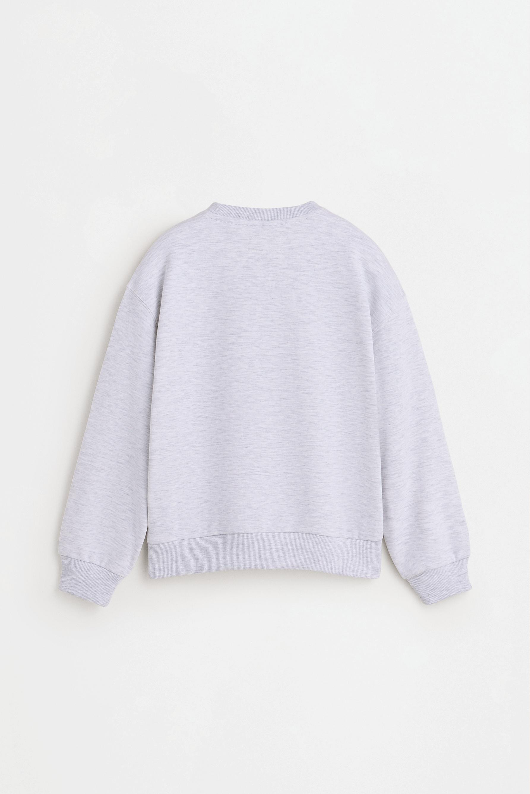 Plain plush sweatshirt — PALE GREY