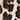 Polyamide T-shirt with wide straps — LEOPARD PRINT