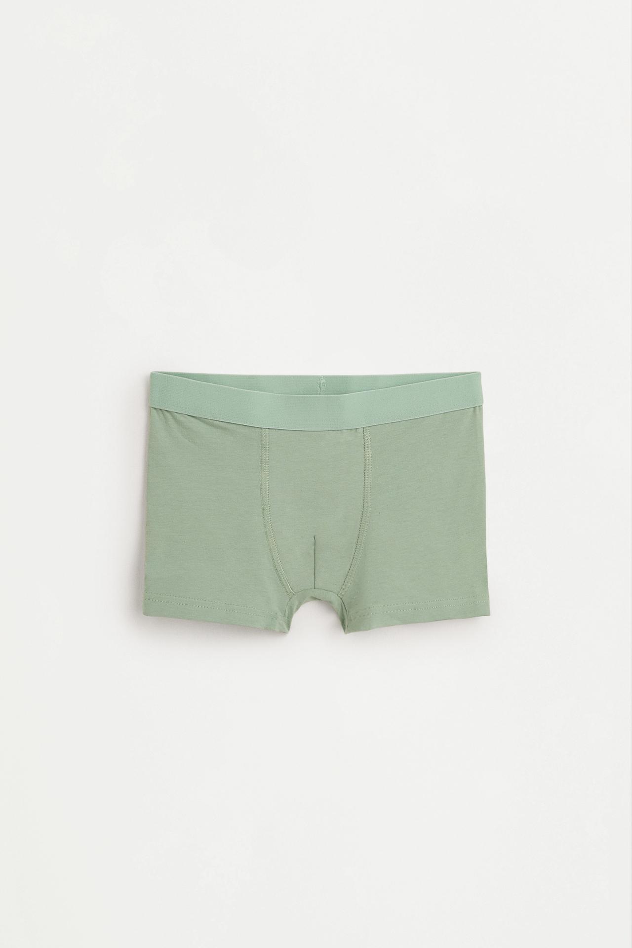Pack of 5 basic boxer shorts — KHAKI