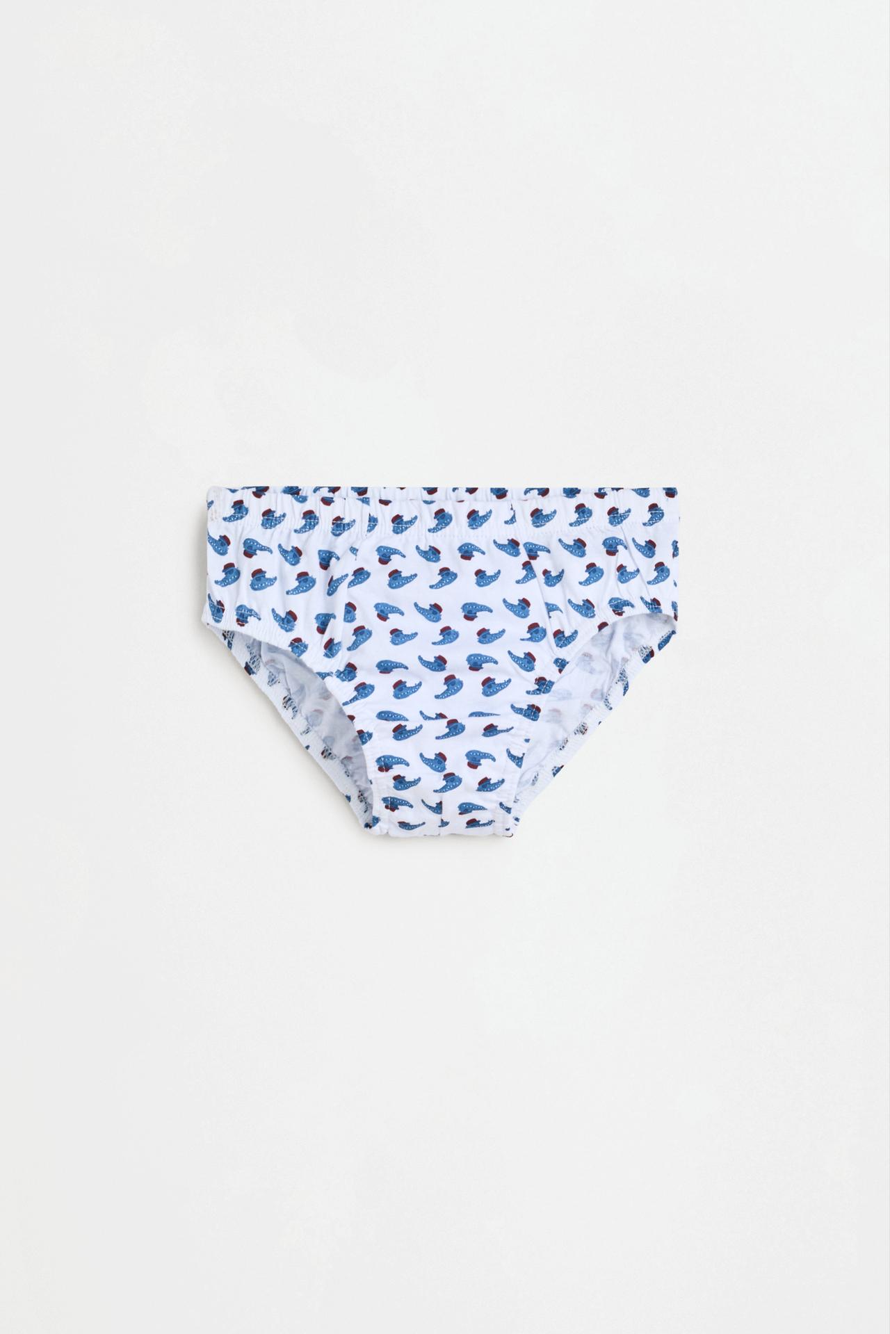 Printed briefs (7-pack) — BLUE/WHITE