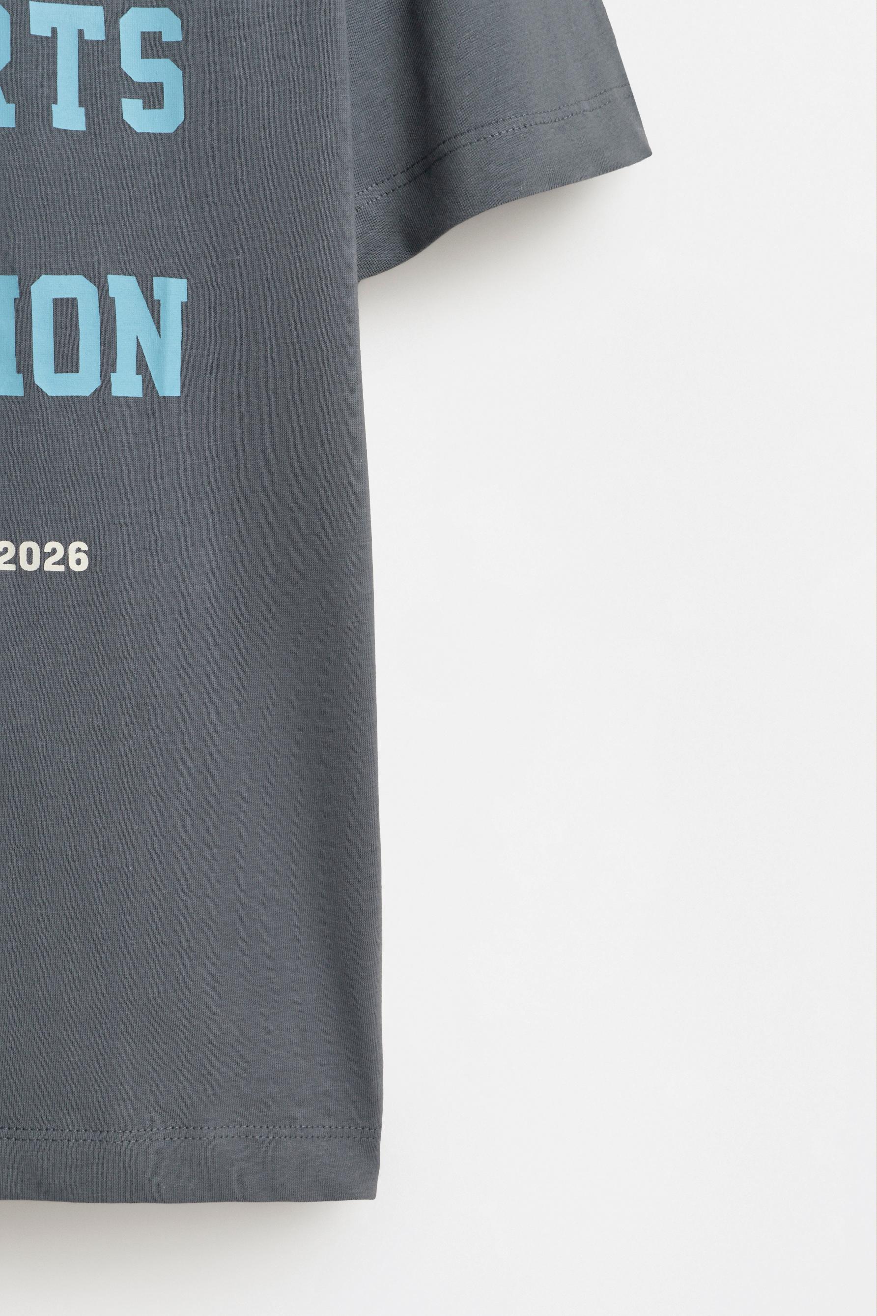 Printed T-shirt — BLUE GREY