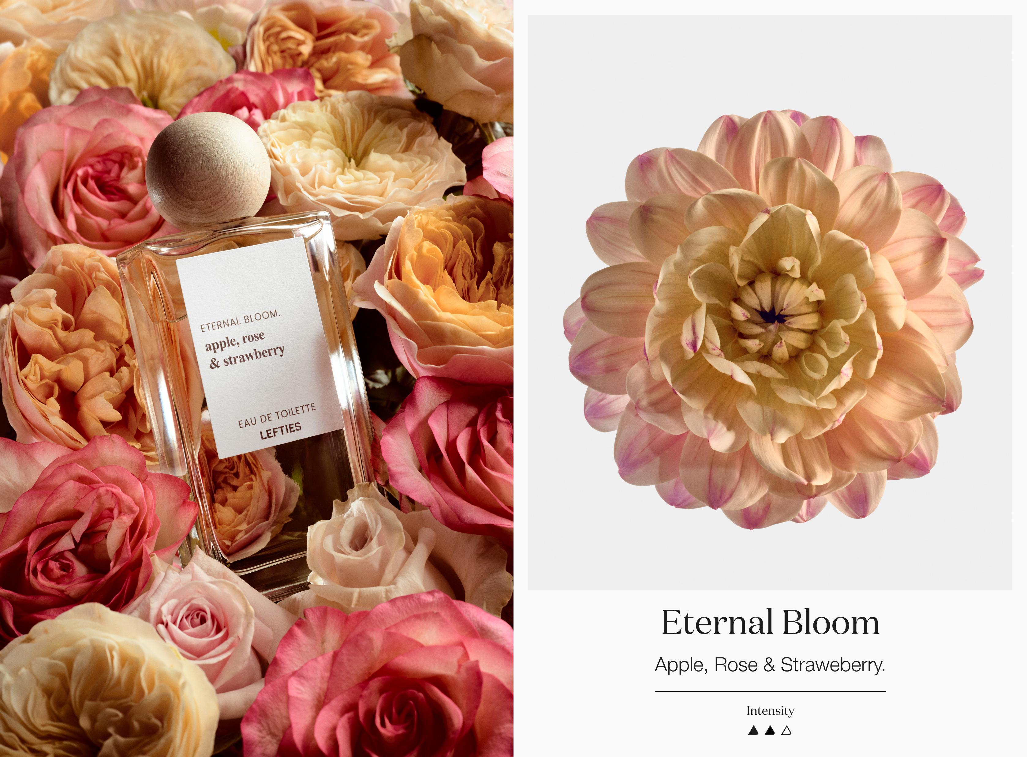 Bloom Apple, Rose & Strawberry EDT 100 ml — VANILLA