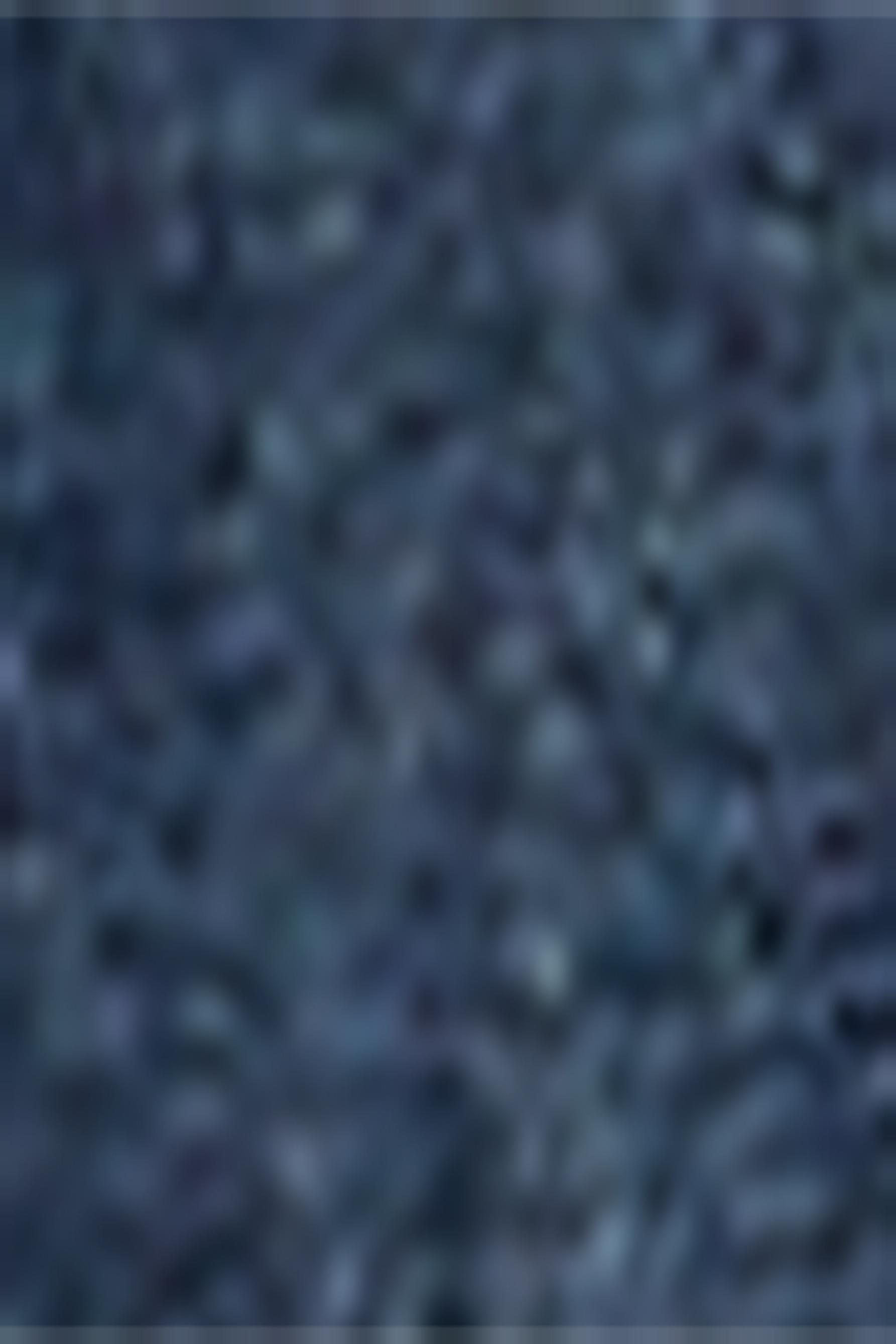 Denim shorts — NAVY