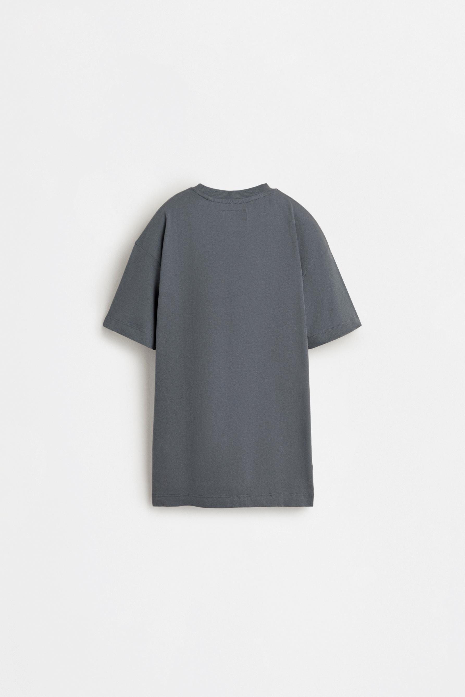 Printed T-shirt — BLUE GREY