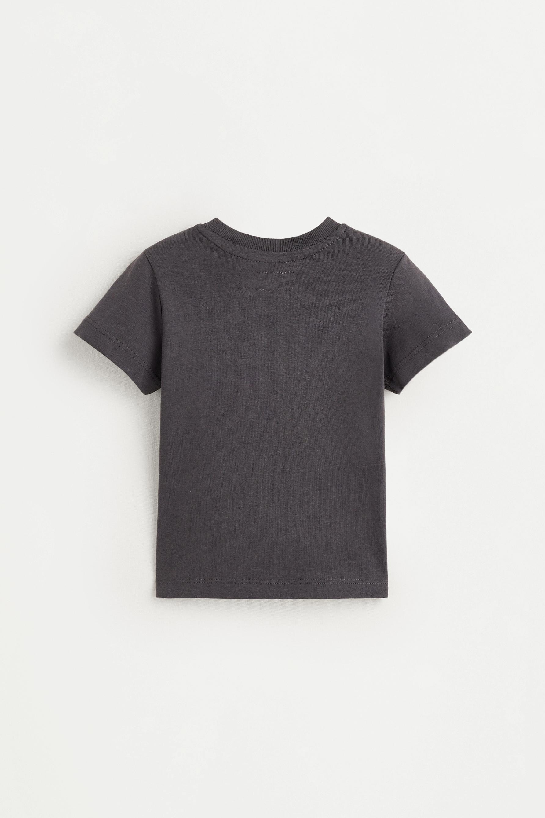 Pack of 2 assorted T-shirts — WHITE
