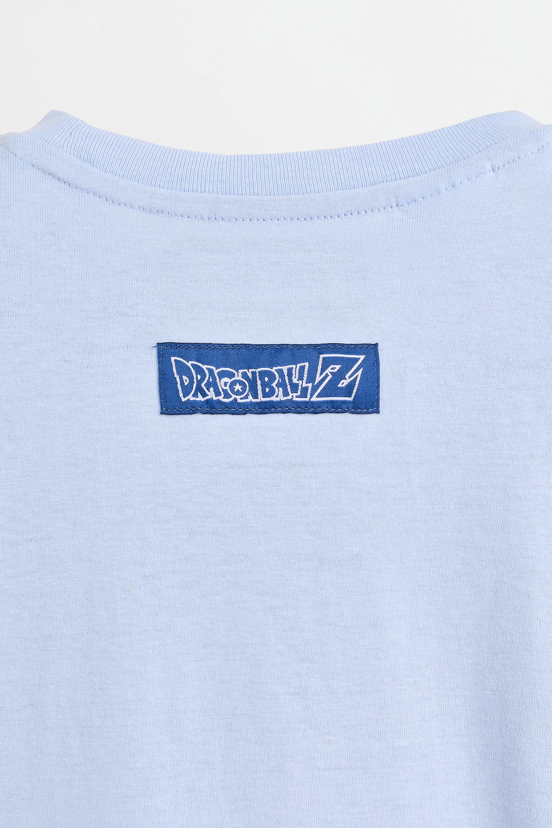 Goku and Vegeta Dragon Ball ©Bird Studio T-shirt — PALE BLUE