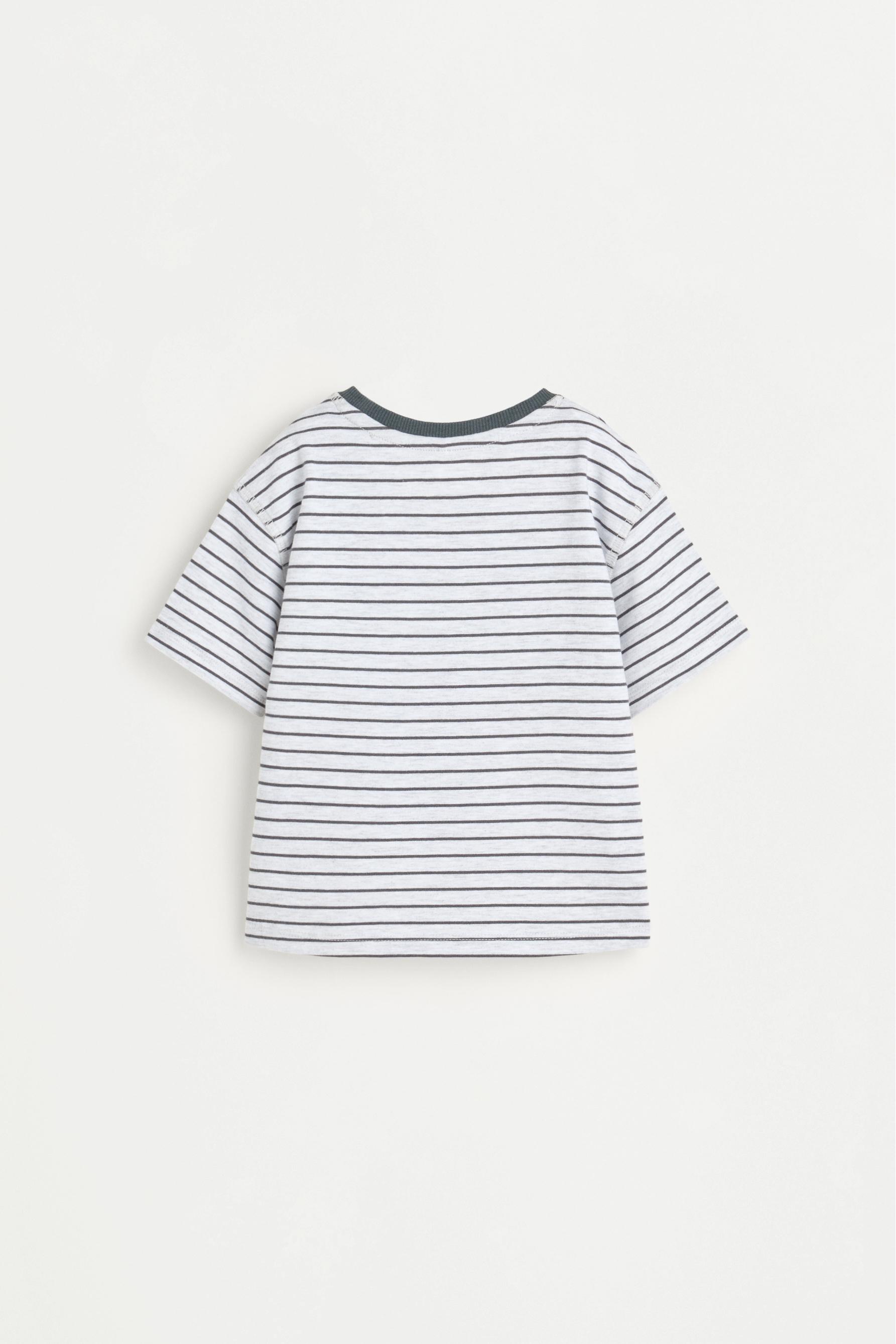 Striped T-shirt — PALE GREY