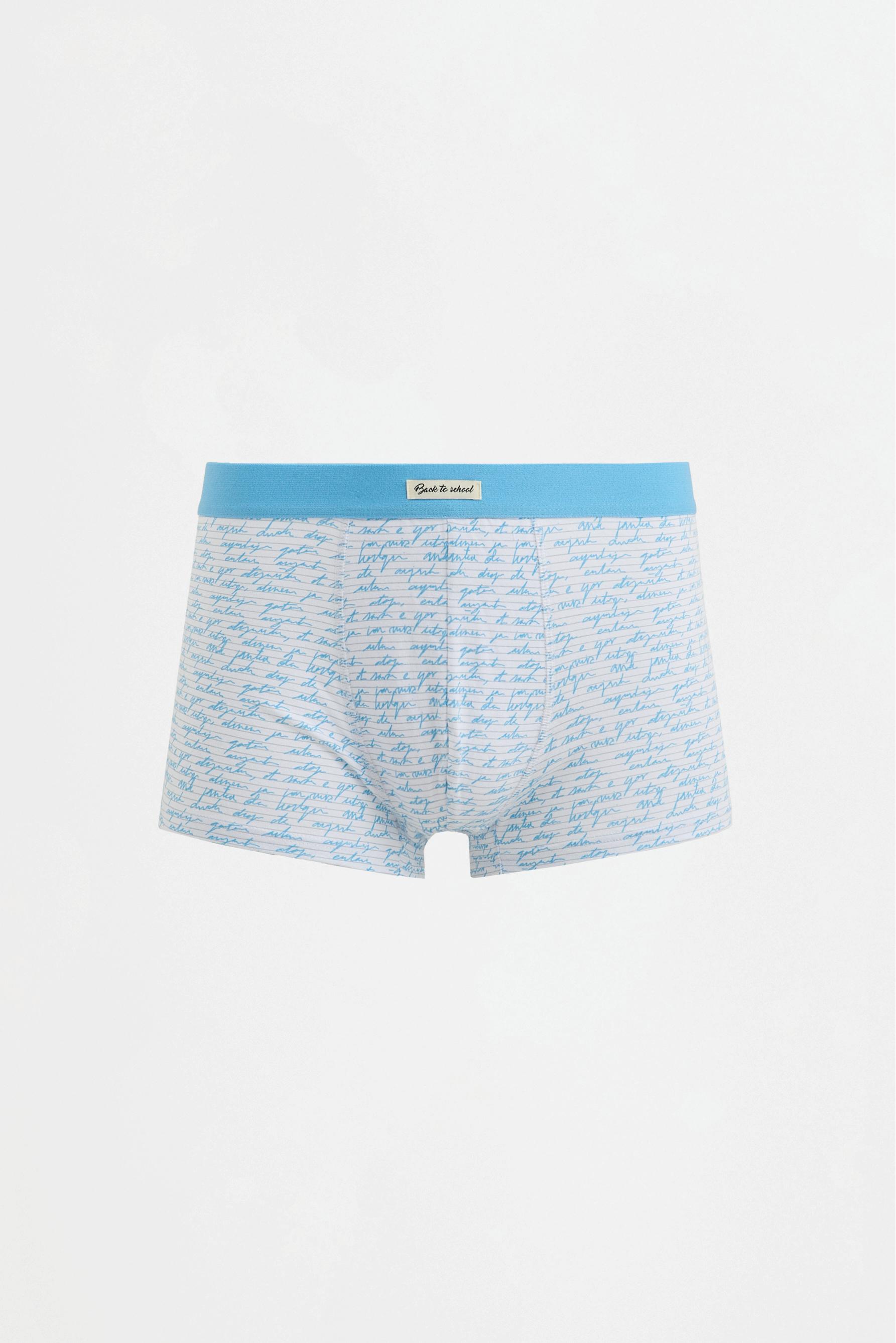 Mixed boxer briefs (5-pack) — BLUE TONES
