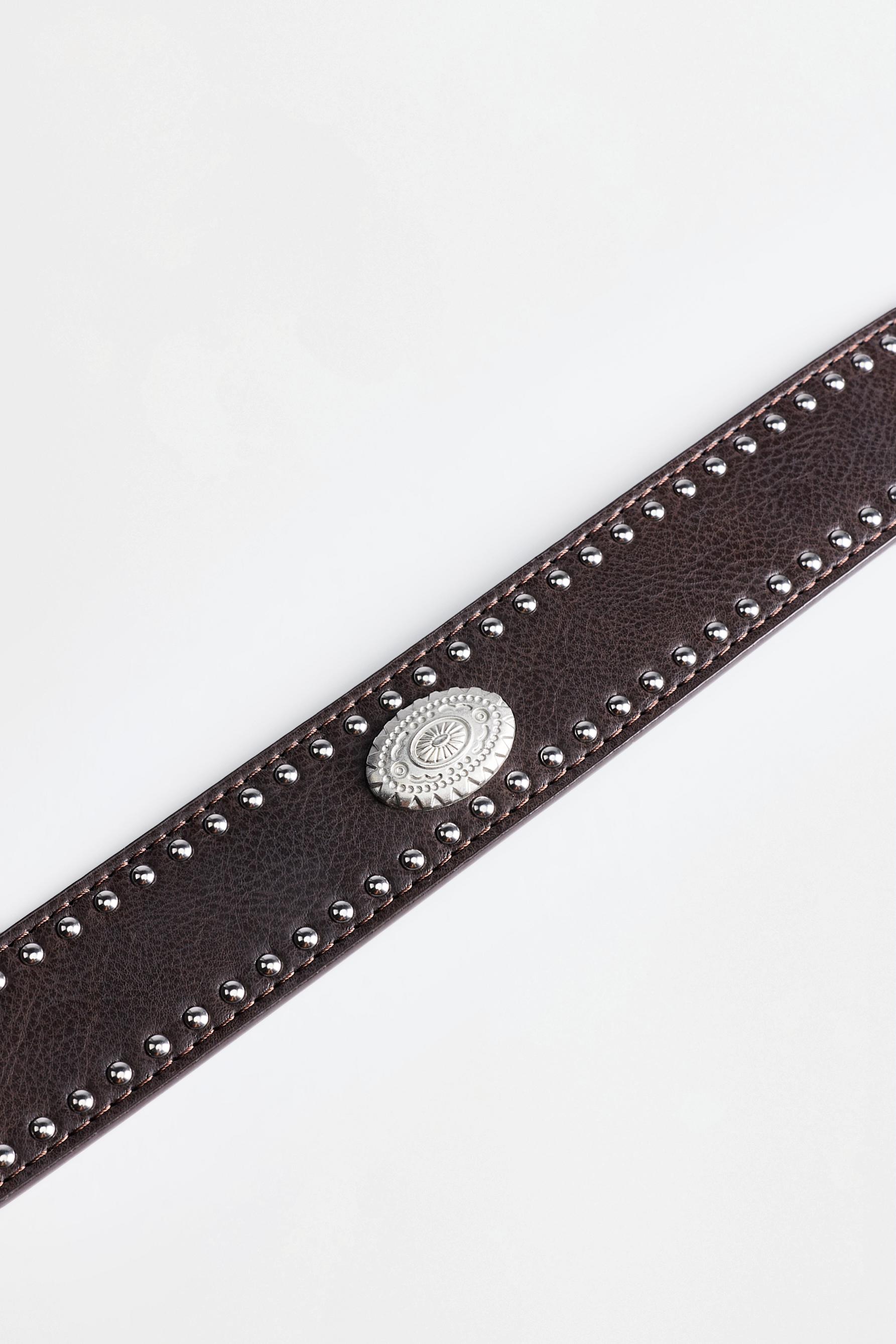 Wide stud and plaque belt — BROWN TONES