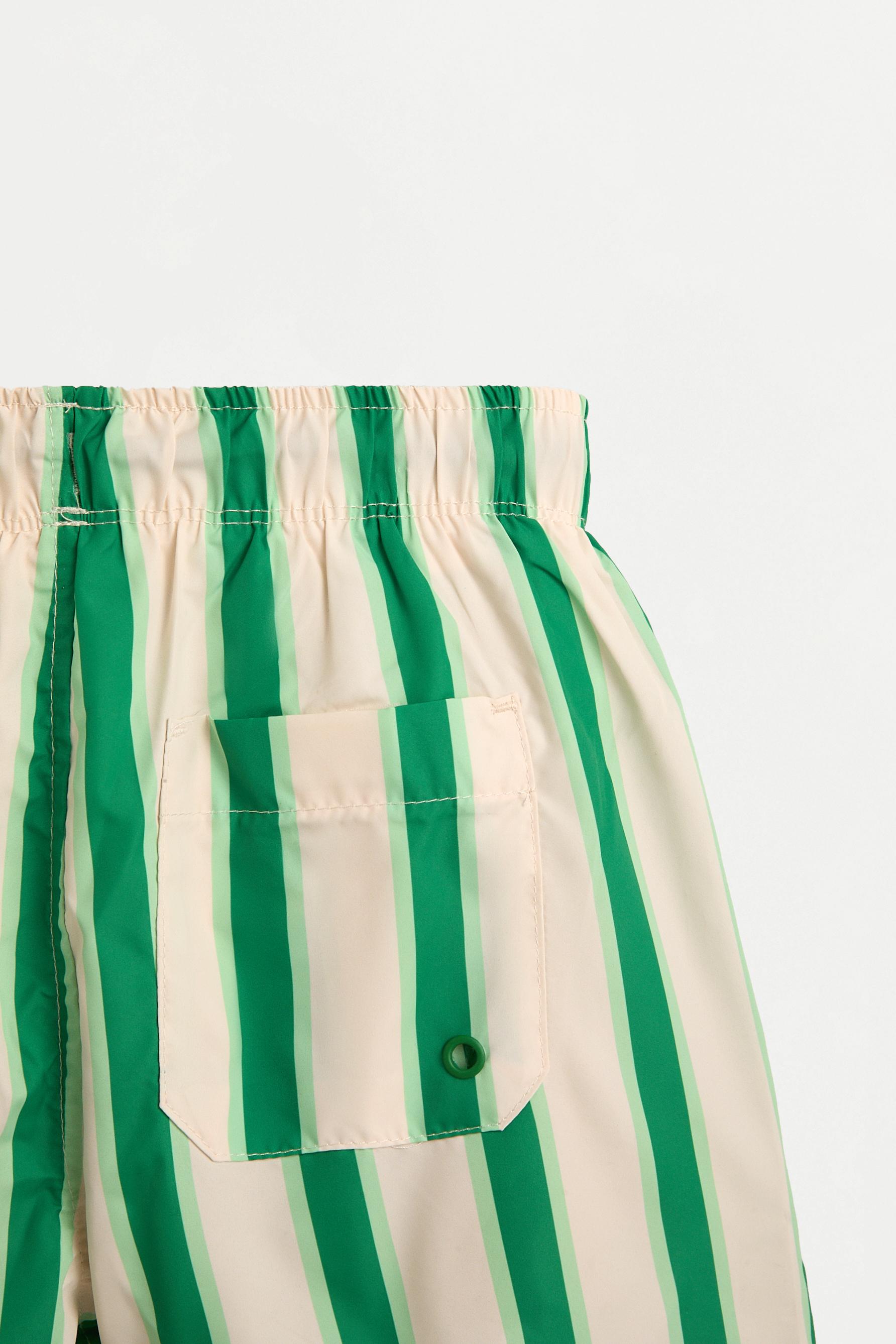 Boy's Striped Brown Swim Trunks — APPLE GREEN