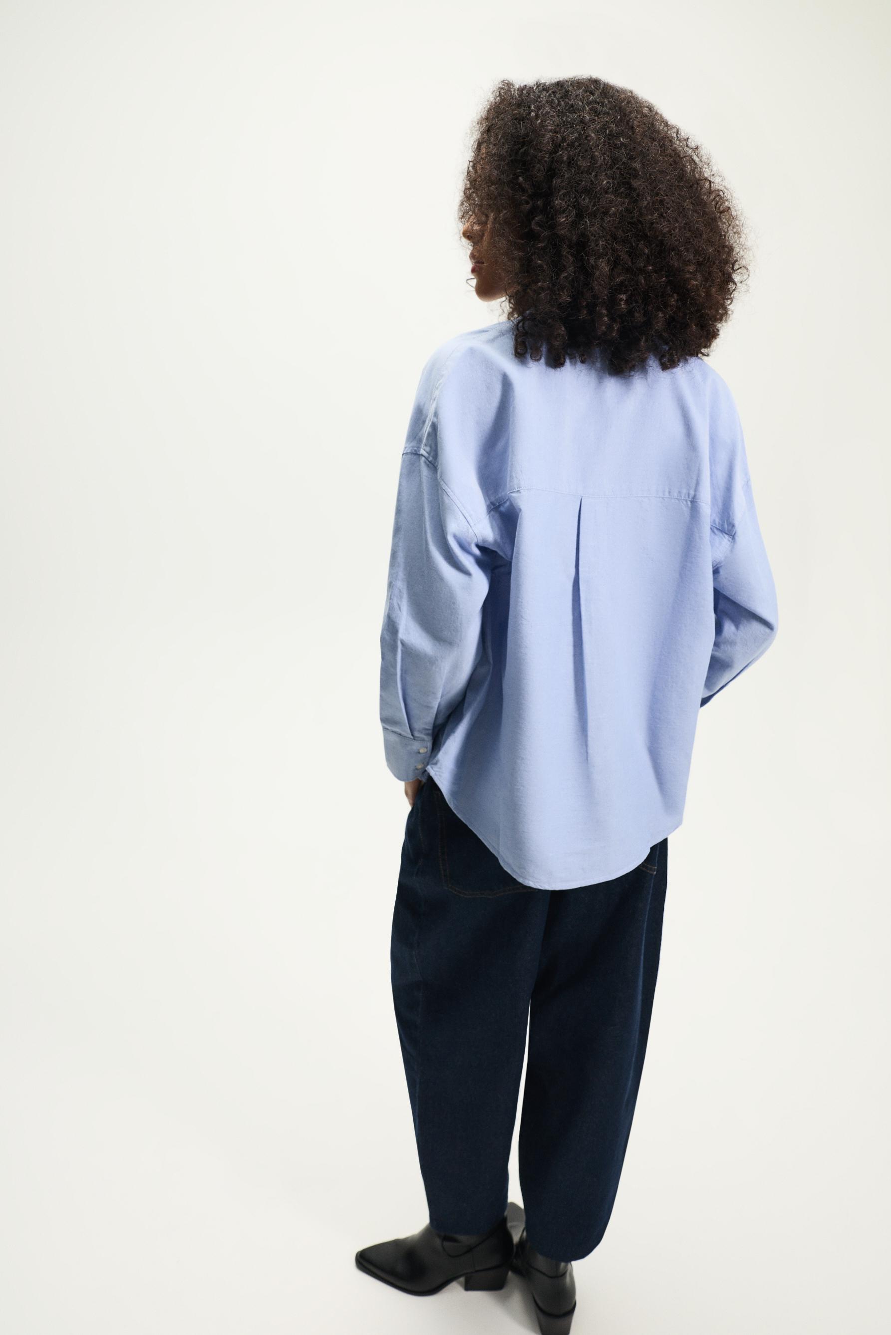 Striped Oxford shirt — BLUE