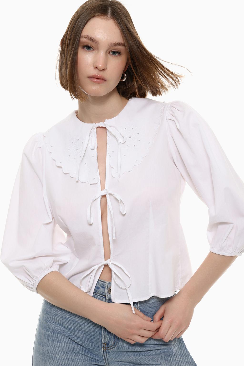 Shirt with embroidered collar