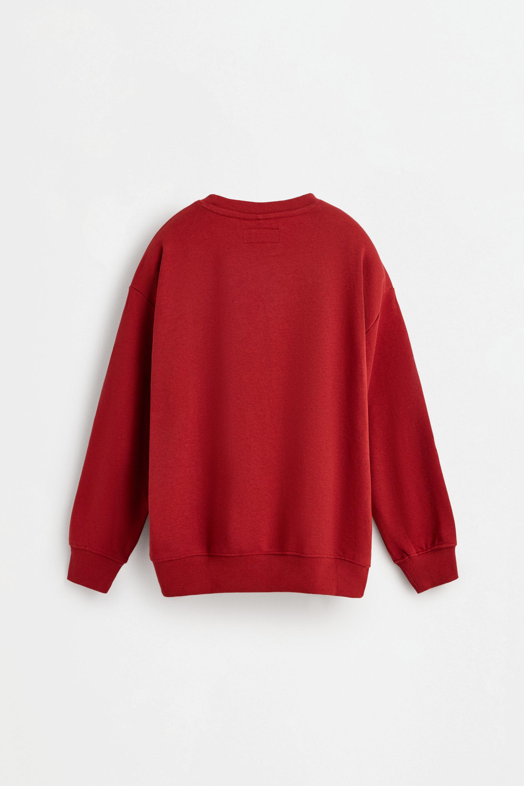 Printed sweatshirt — DARK PINK