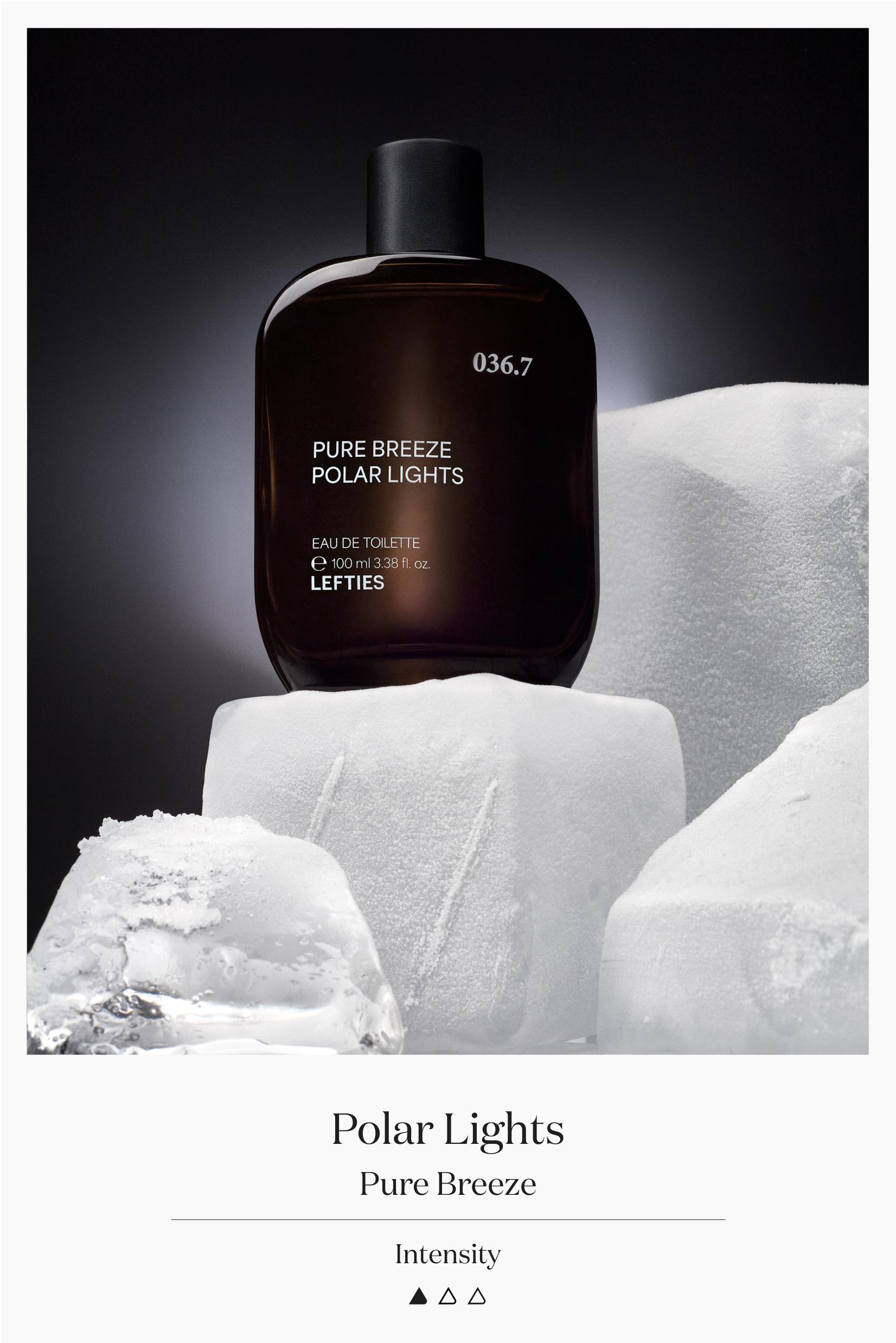 Pure Breeze Polar Lights EDT 100 ml — GREY