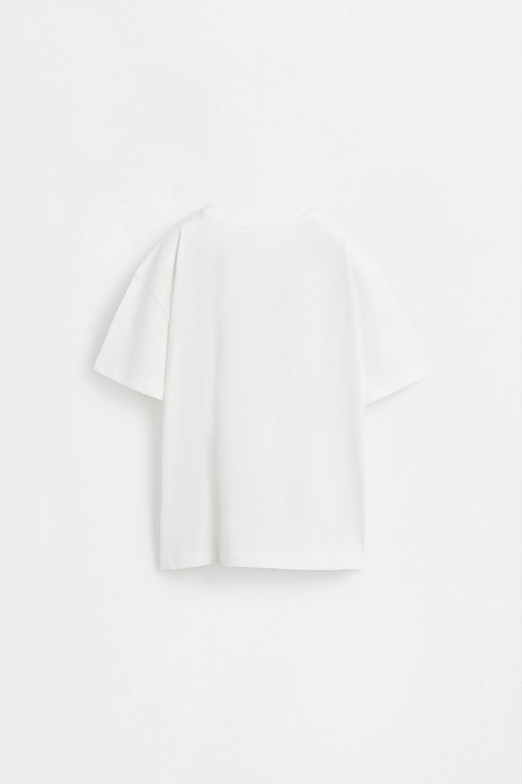 Printed T-shirt — WHITE/PALE