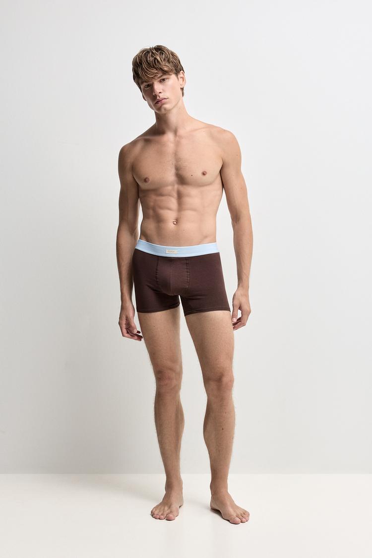 Pack of 5 striped long boxers — BROWN/BLUE