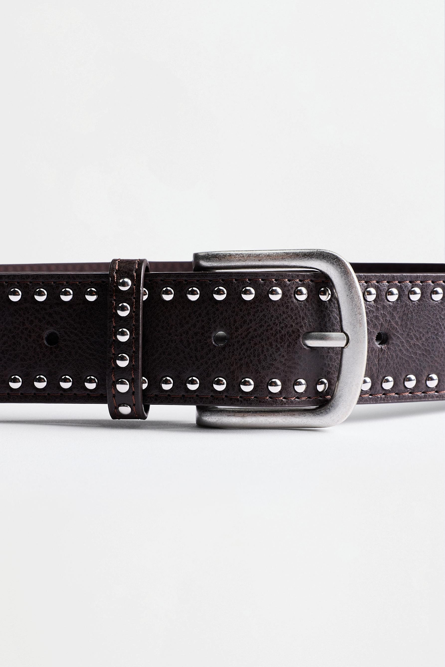 Wide stud and plaque belt — BROWN TONES
