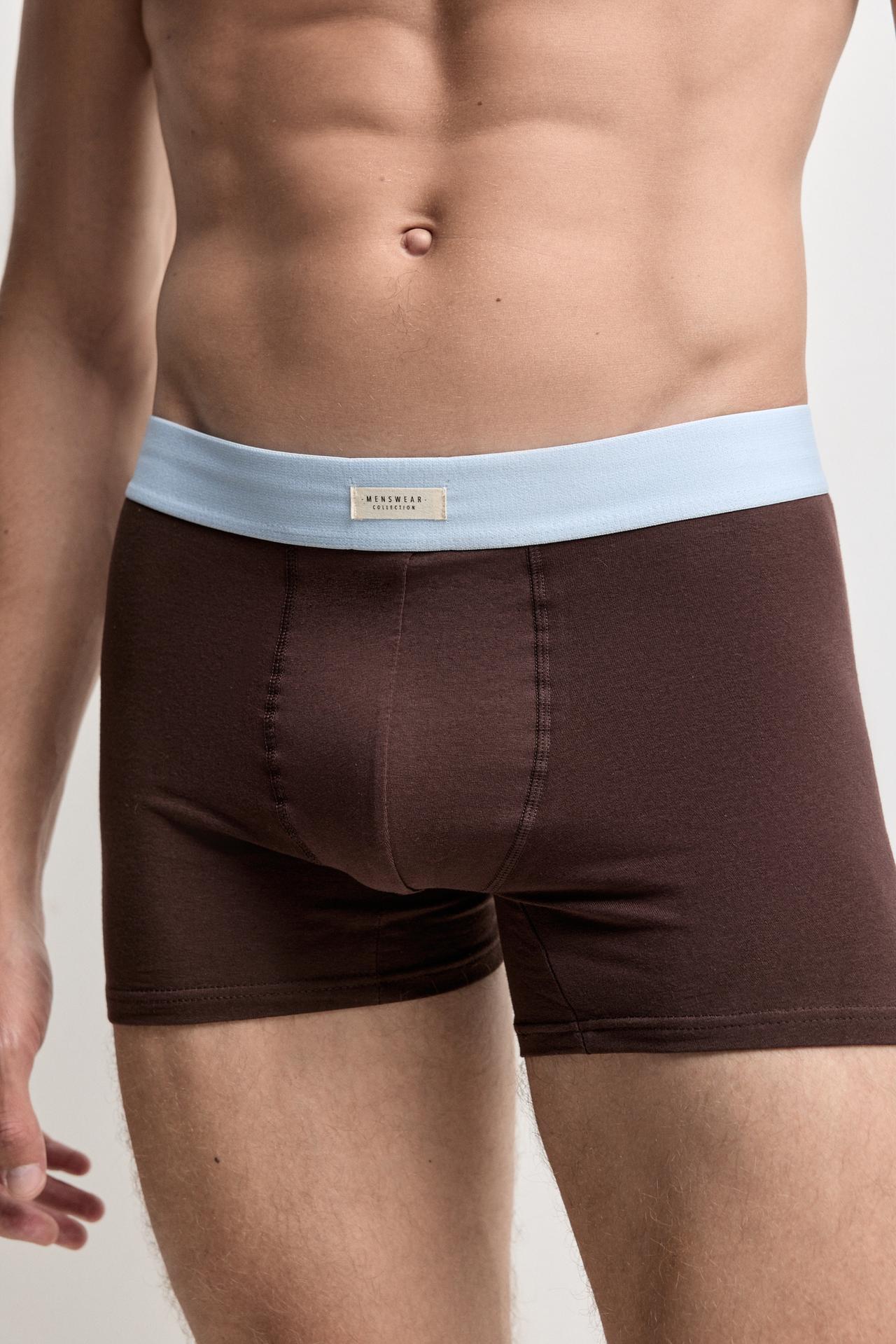 Pack of 5 striped long boxers — BROWN/BLUE