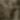 Cutwork knit top — KHAKI