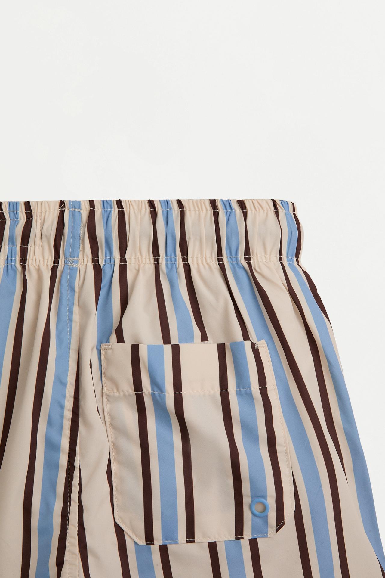 Boy's Striped Brown Swim Trunks — BROWN