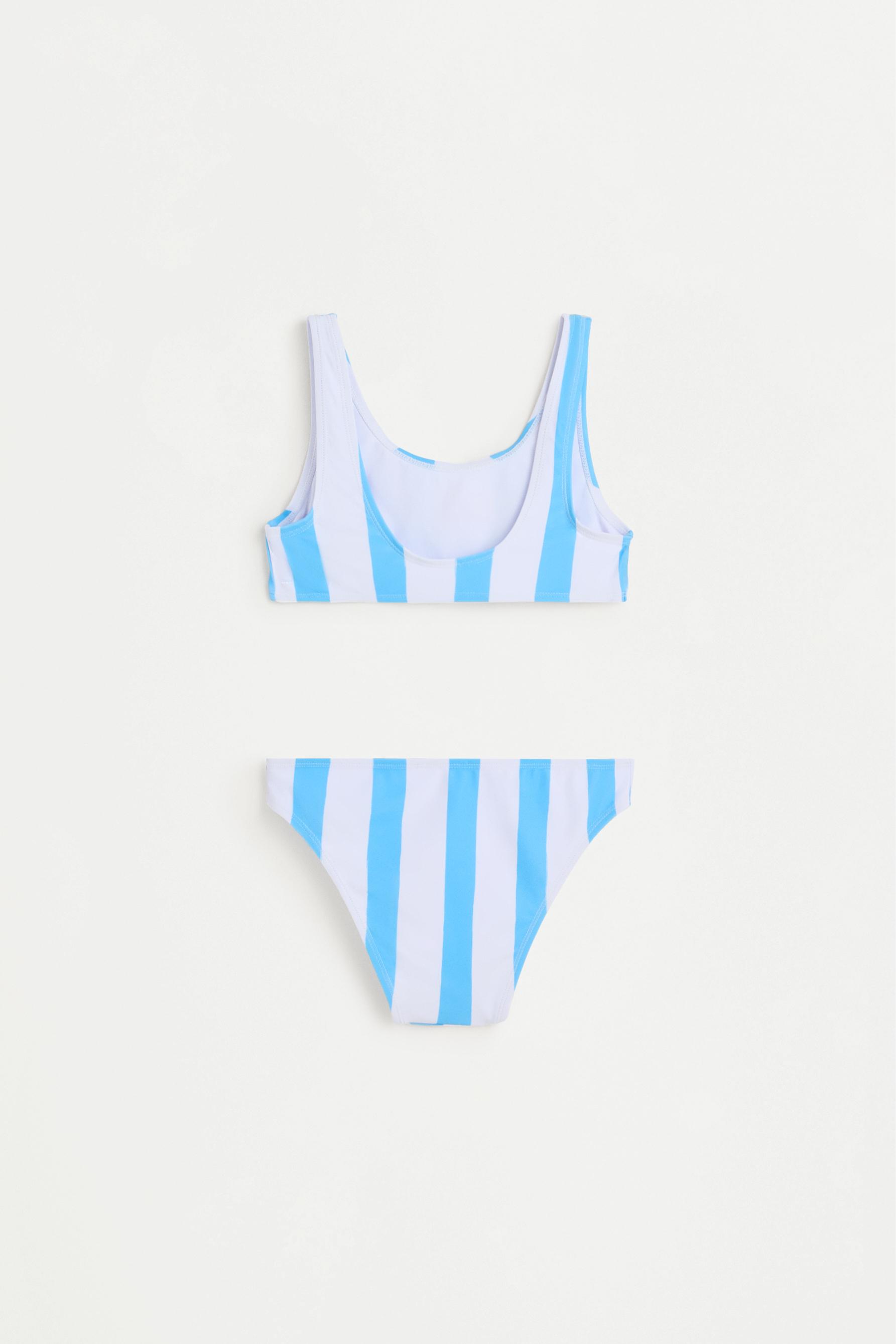 Striped print bikini — BLUE