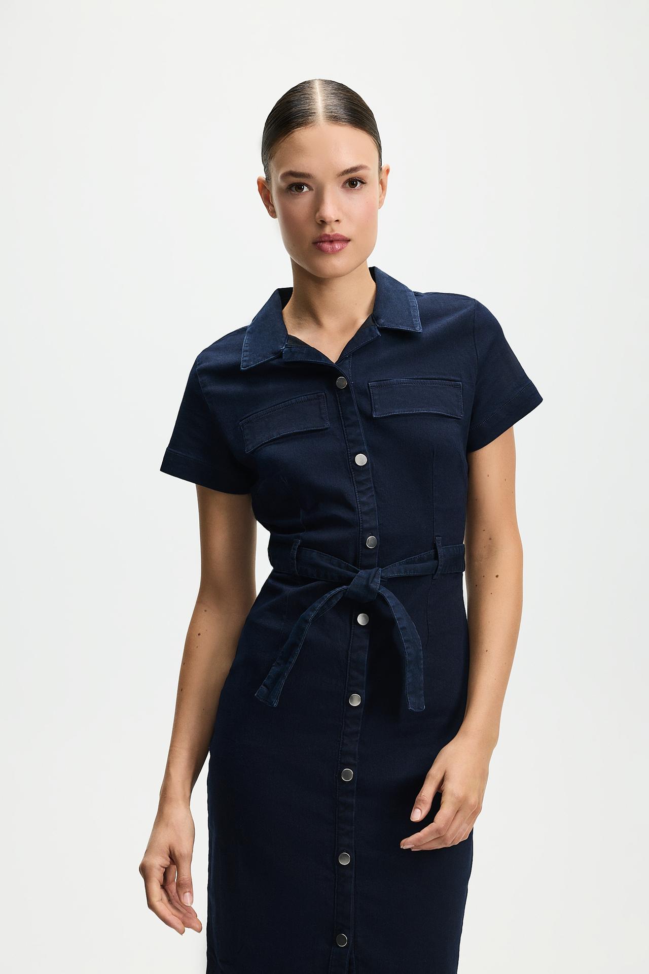 Fitted denim button-front dress — BLUE