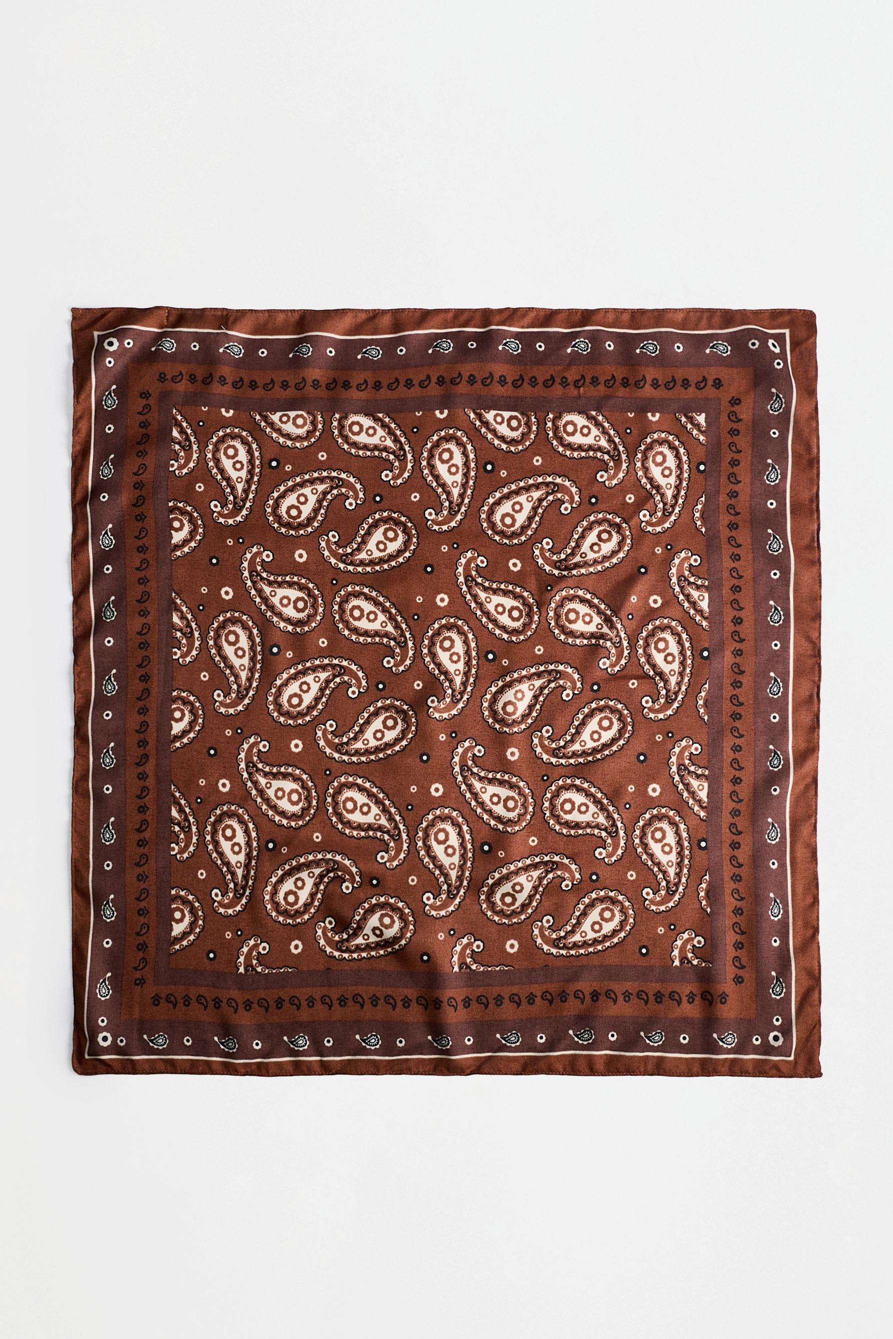 Paisley print scarf — BROWN