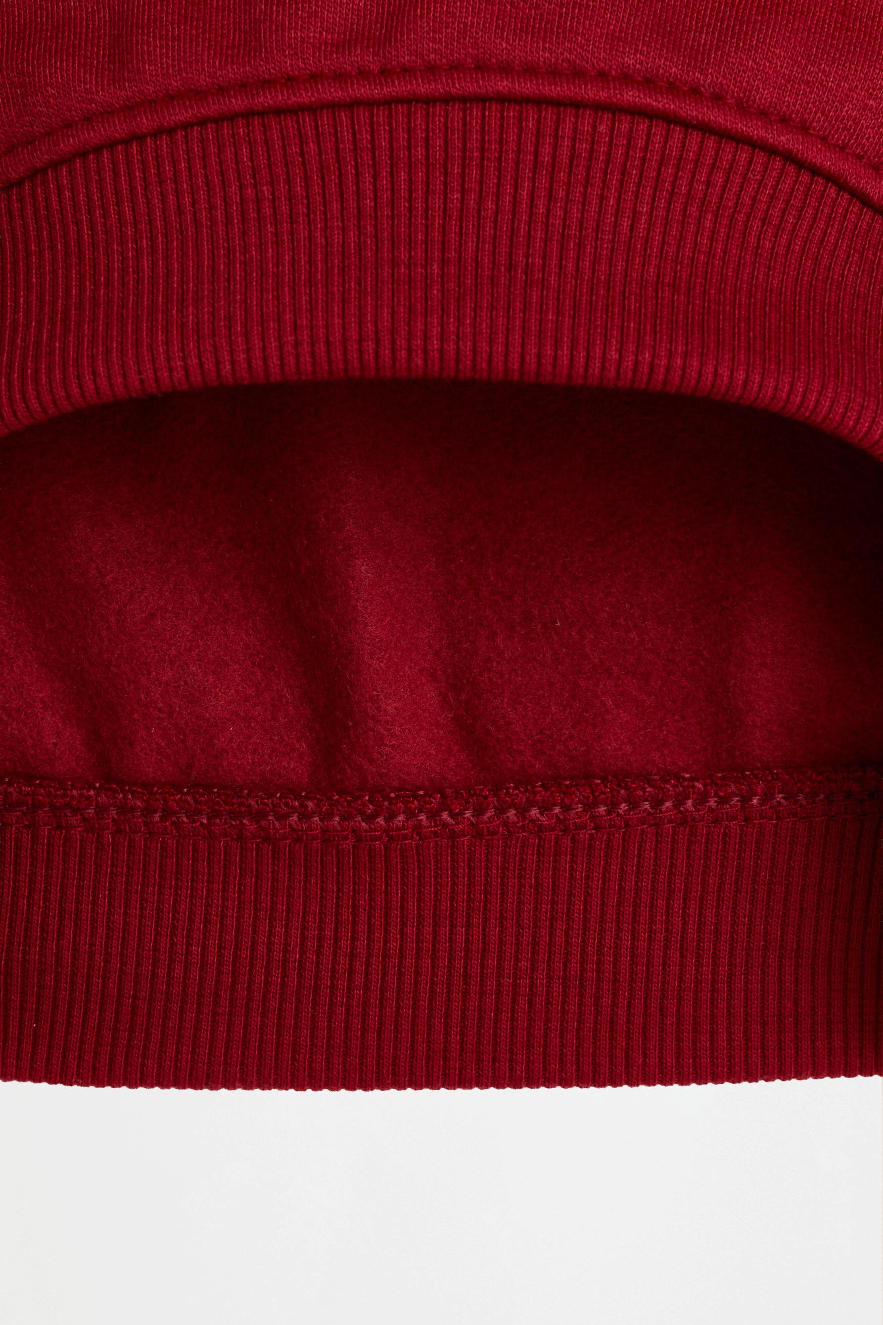 Pack of 2 assorted sweatshirts — BLUE